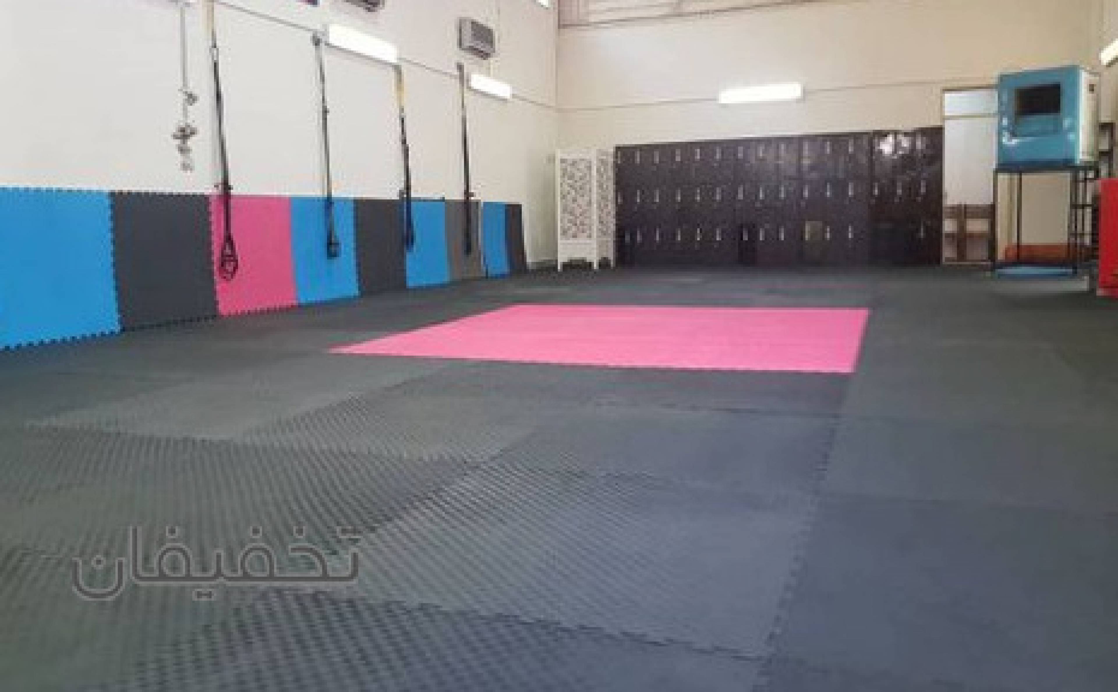 آکادمی تخصصی هنرهای رزمی وفیتنس حجاب 