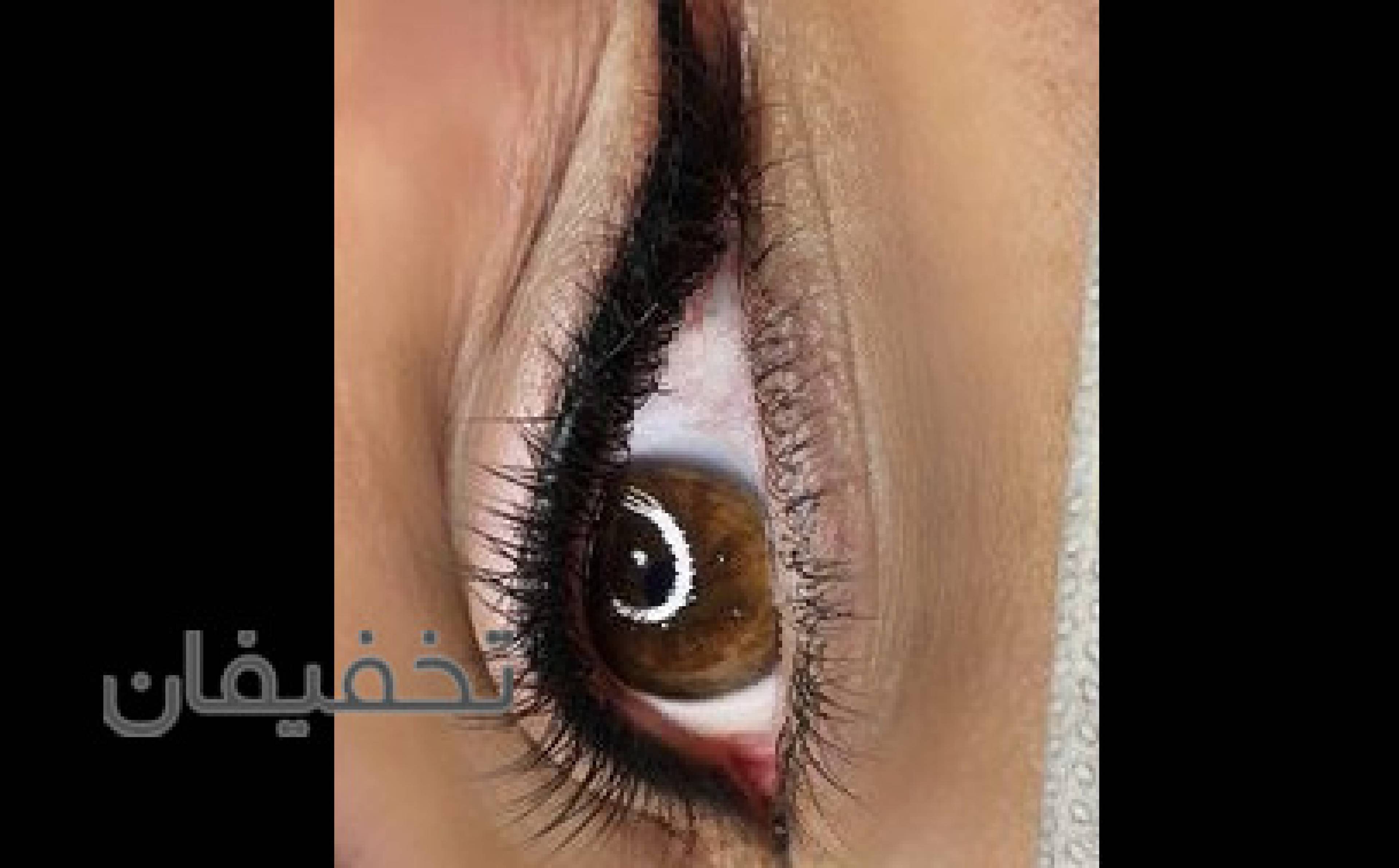 مرکز تخصصی میکروبلیدینگ ابرو مریم مجیدی 