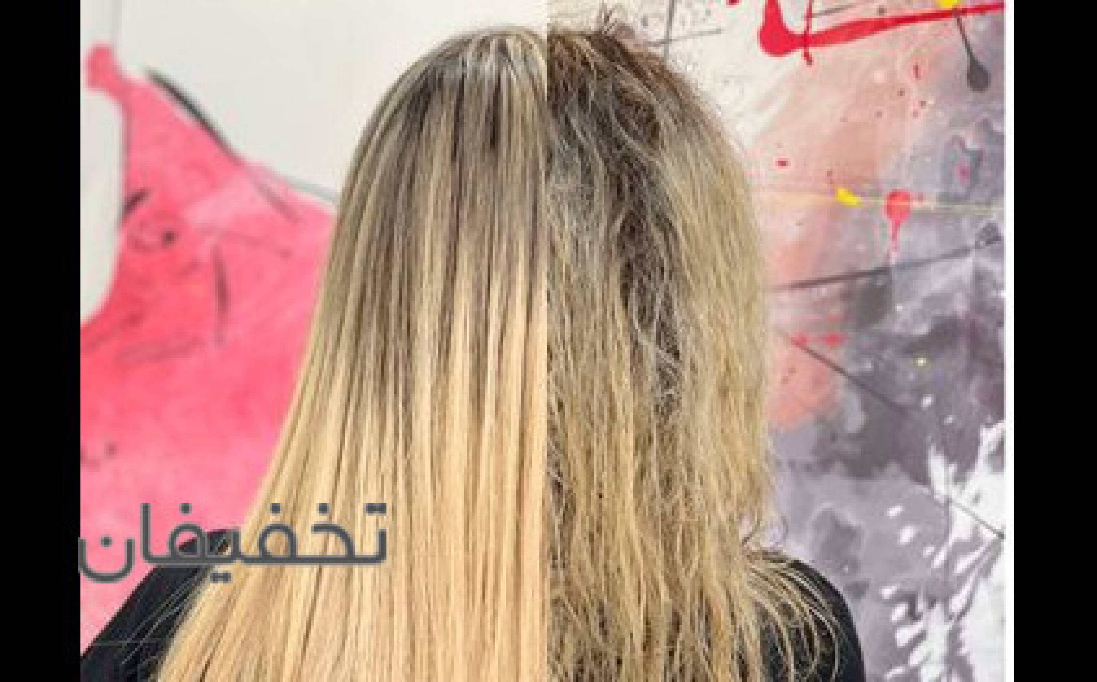 رنگ و لایت رویا کاظمی 