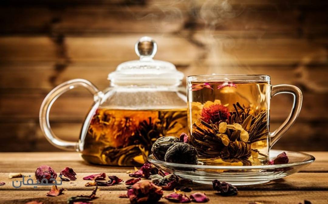 آموزشگاه گیاه دانه