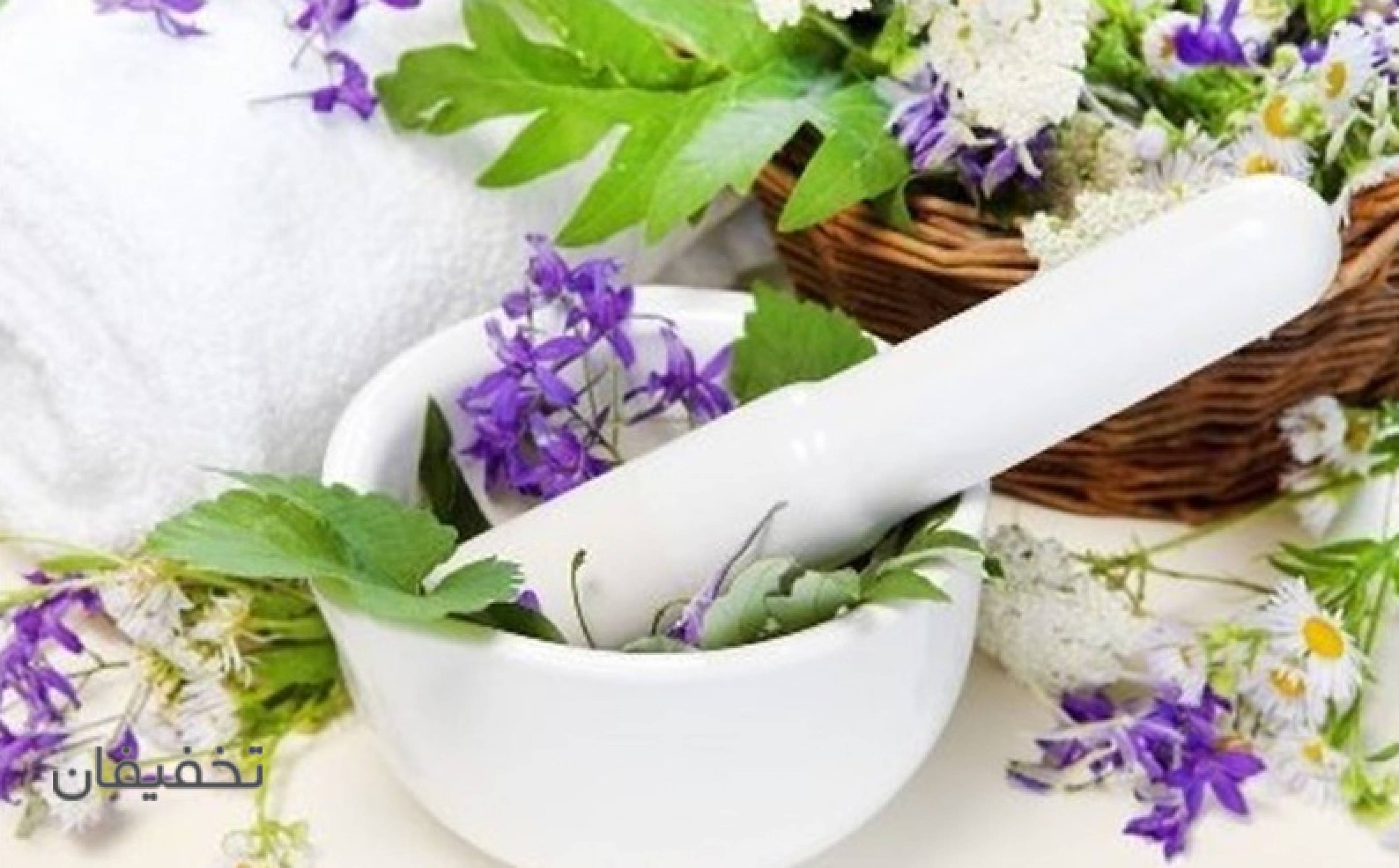 آموزشگاه گیاه دانه
