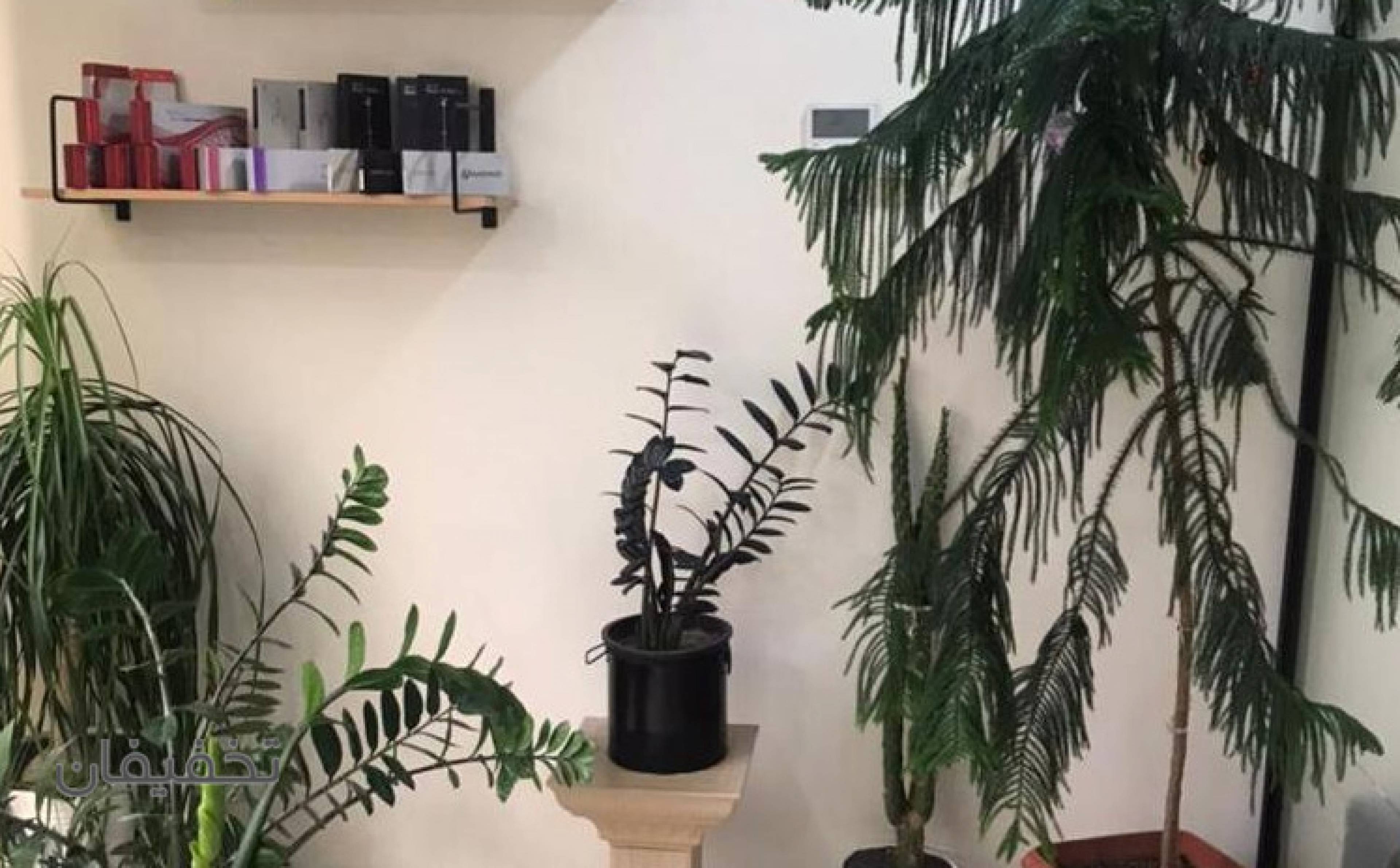 مطب زیبایی غرب