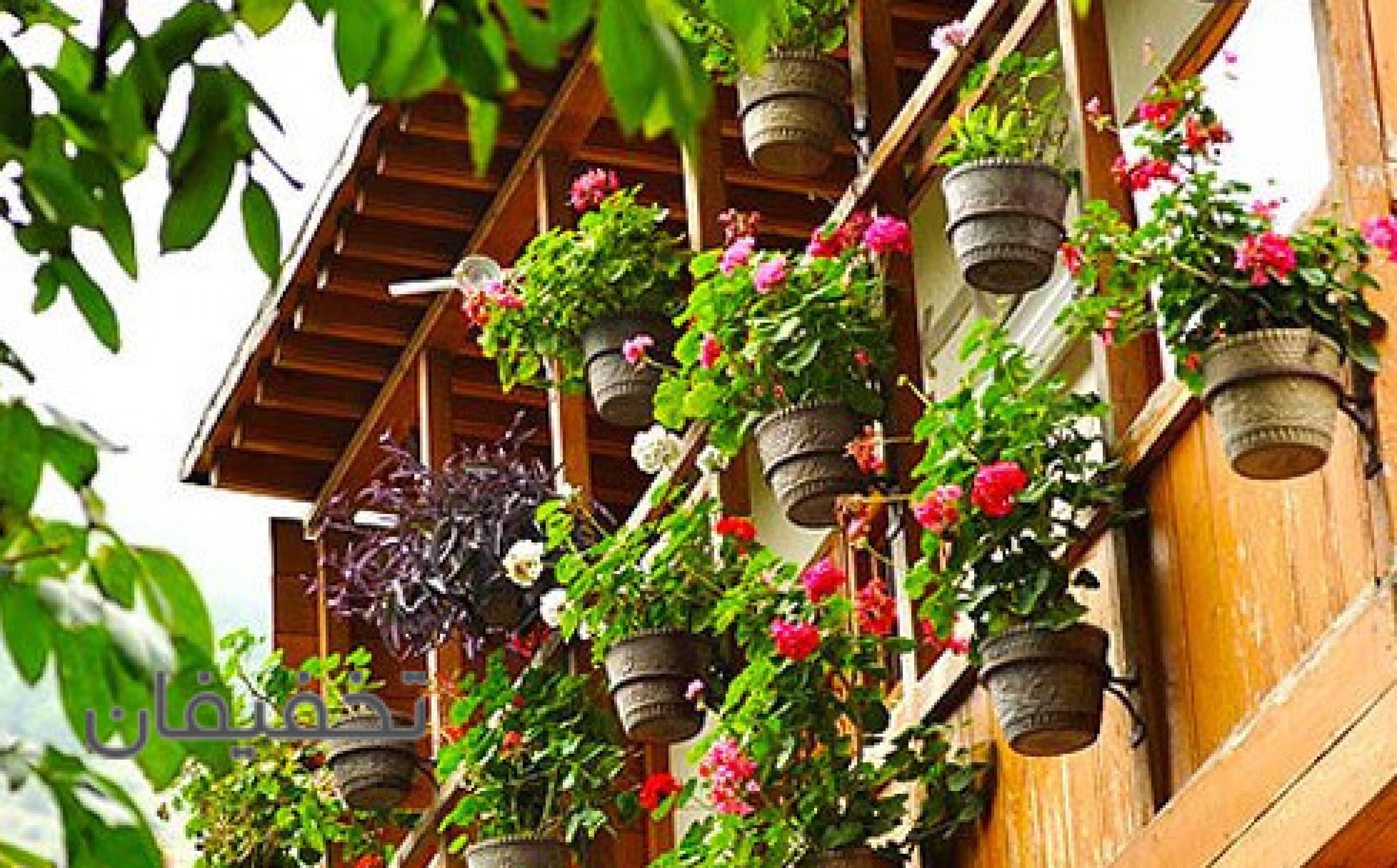 تور شمال گردی با پردیس گردون هستی