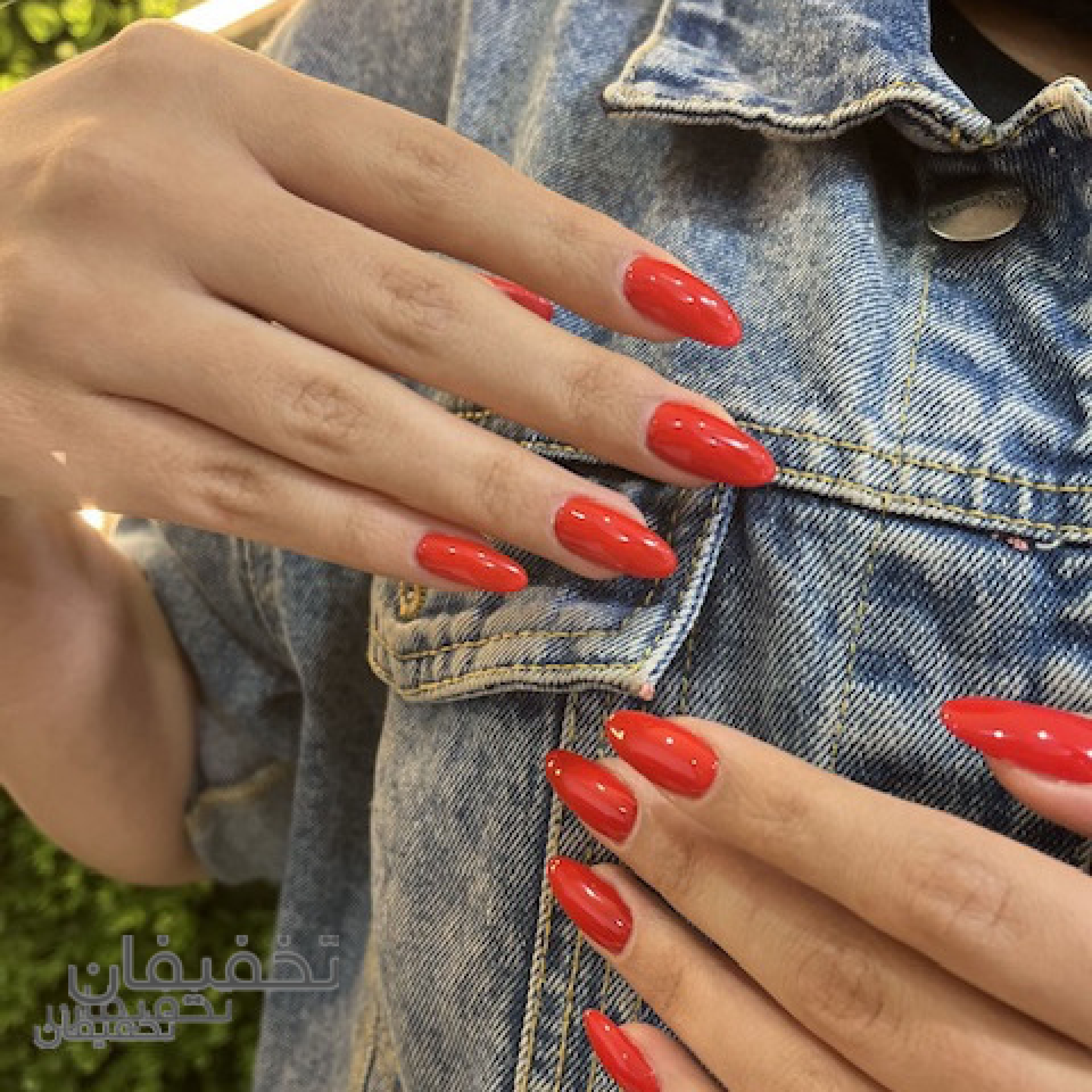 سالن زیبایی هانیل