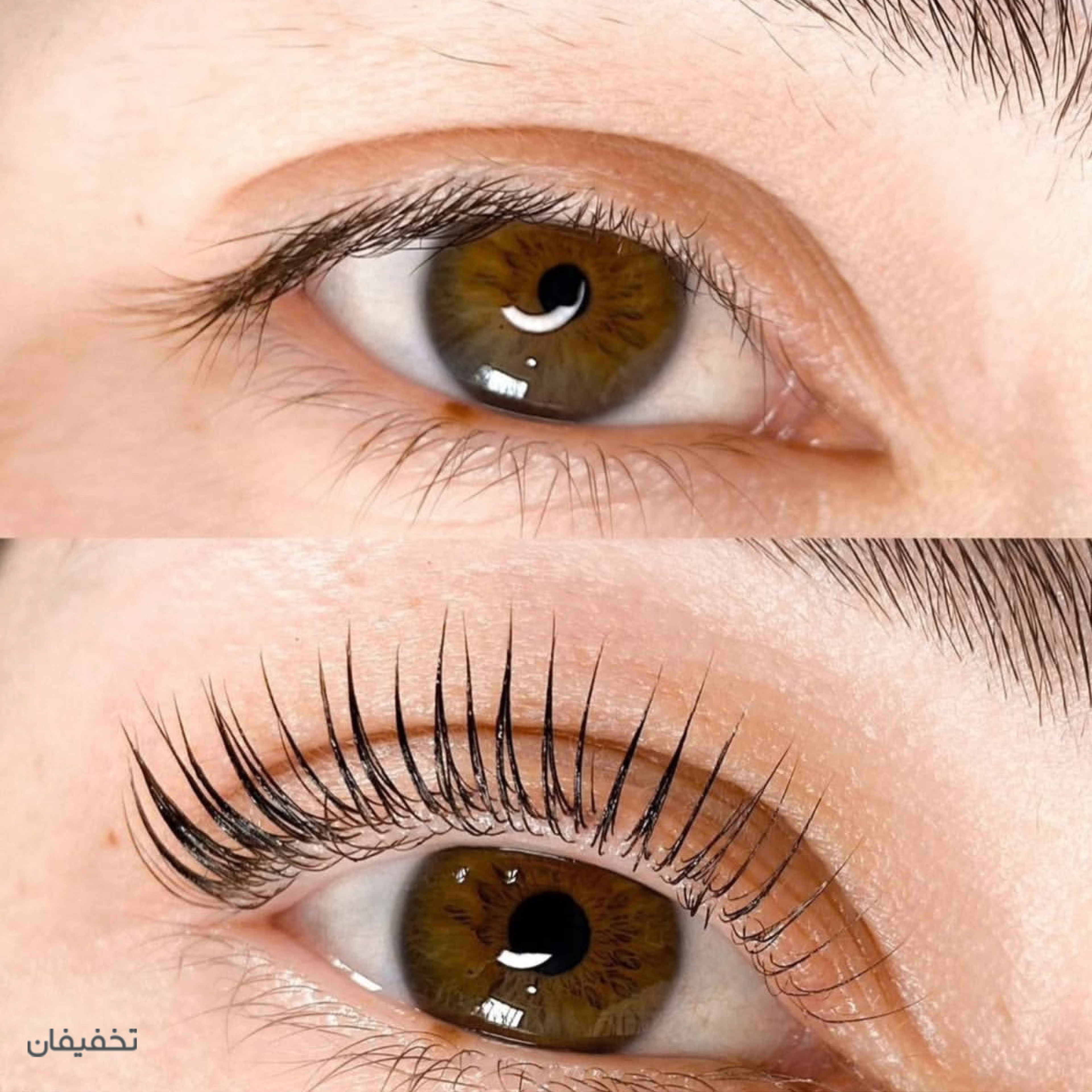 آیدا بیوتی
