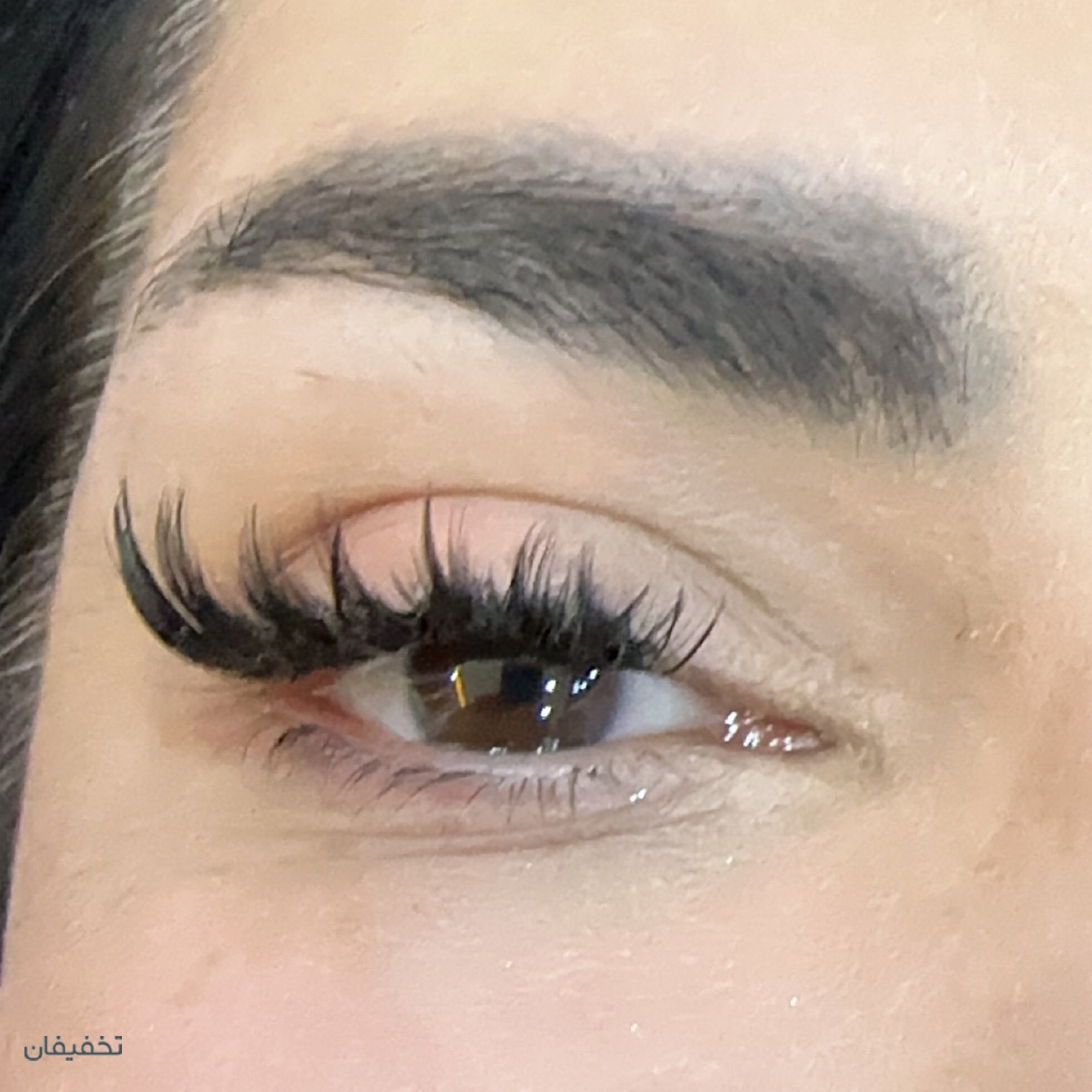 مژه نيلوفر