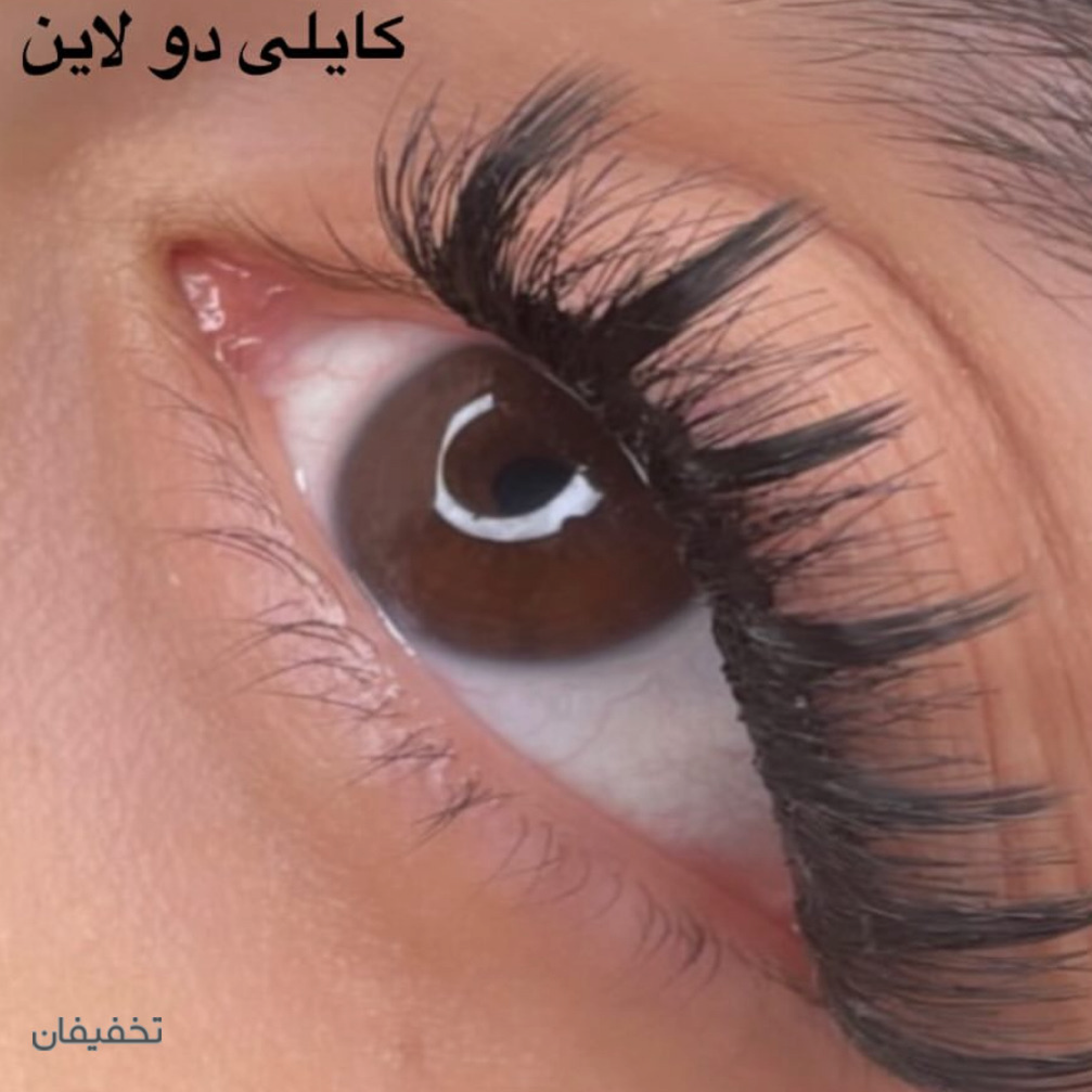 مژه نيلوفر
