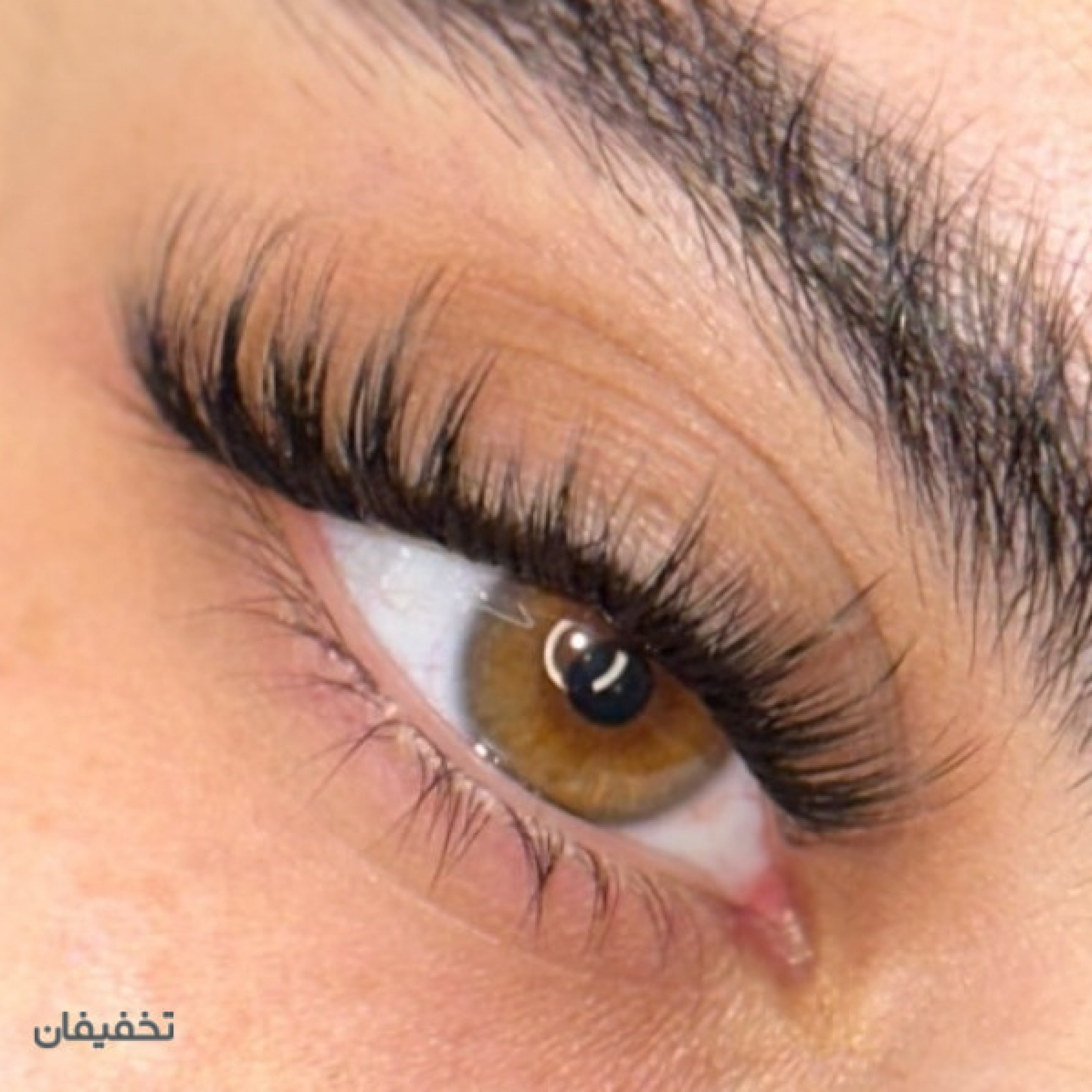 مژه نيلوفر