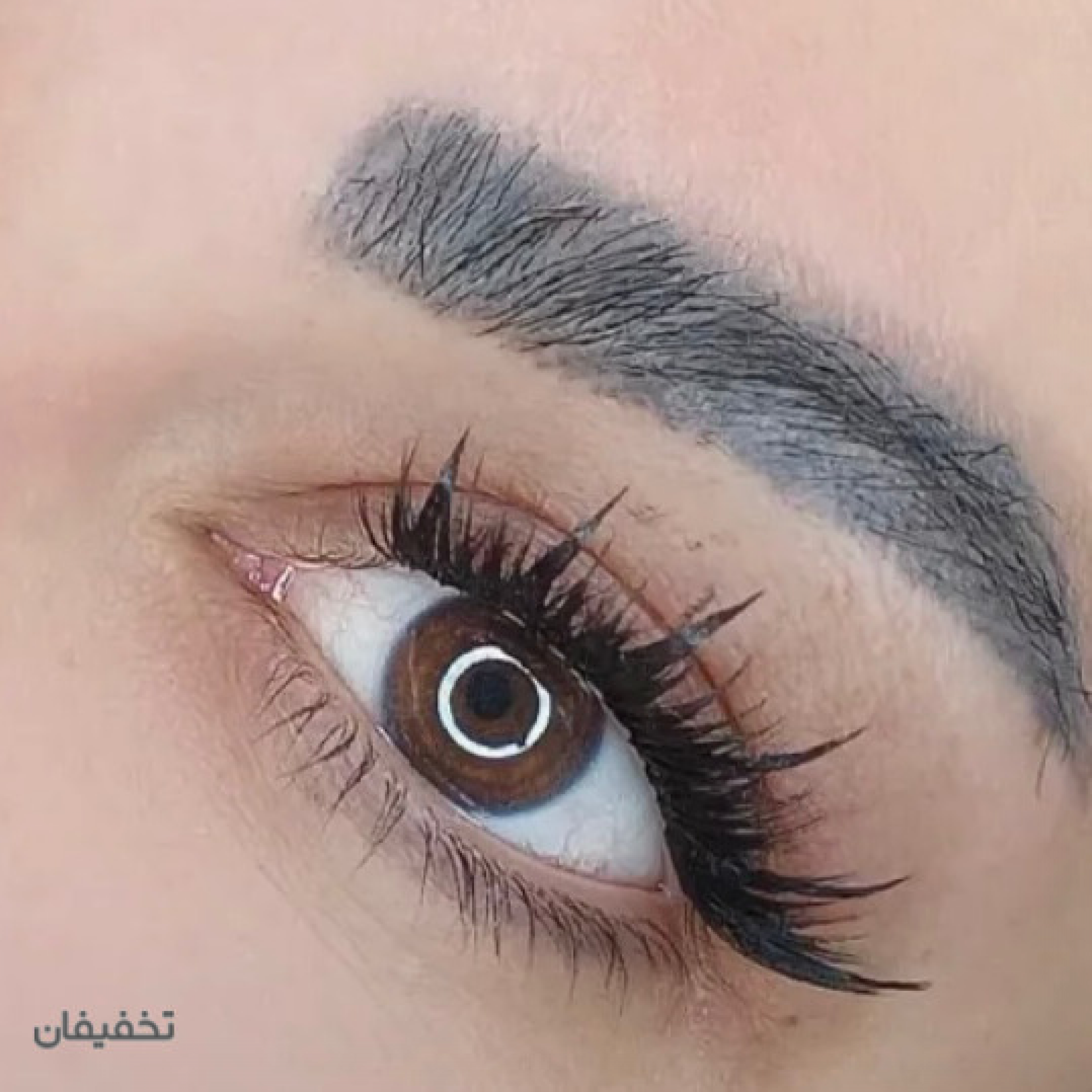 مژه نيلوفر