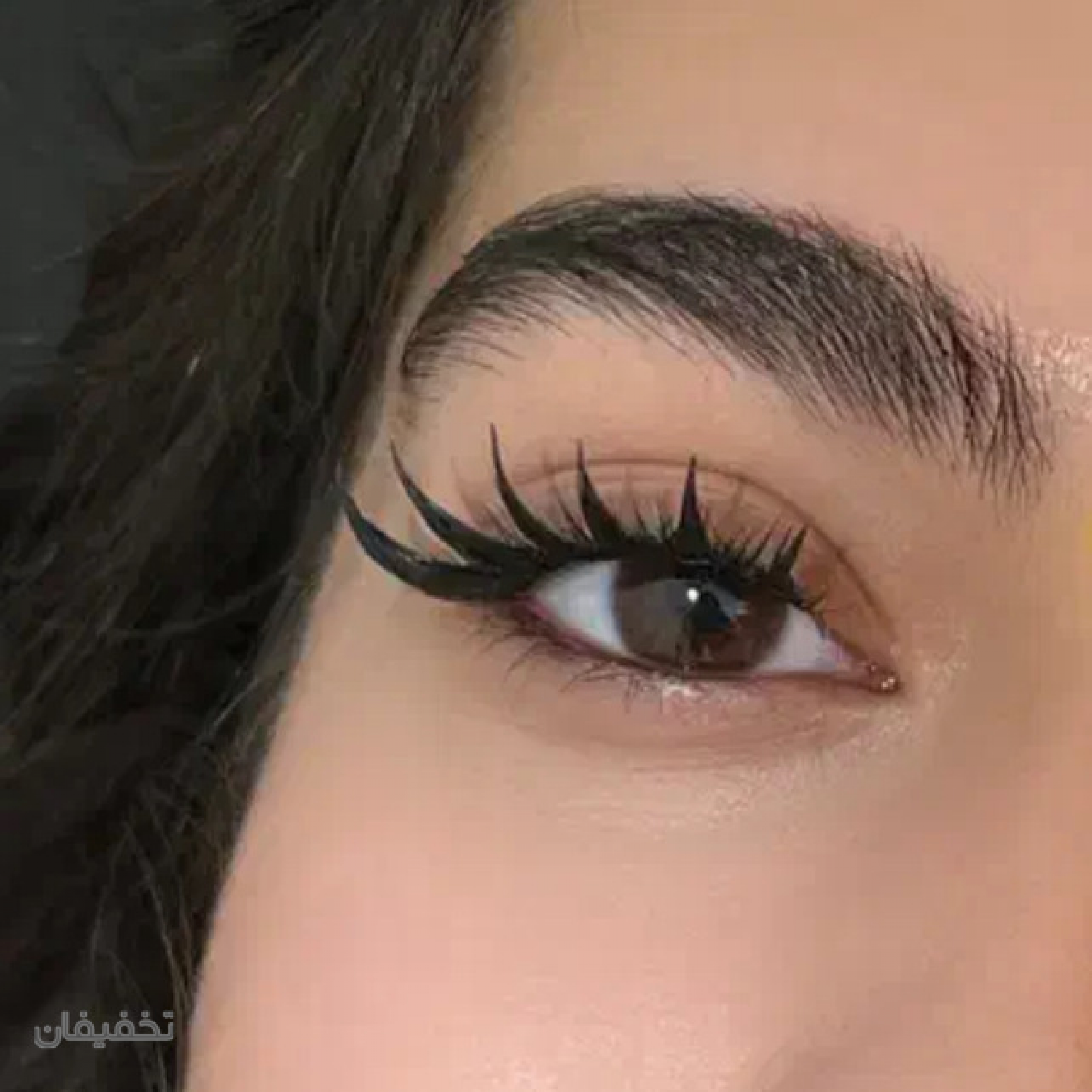 مژه نيلوفر