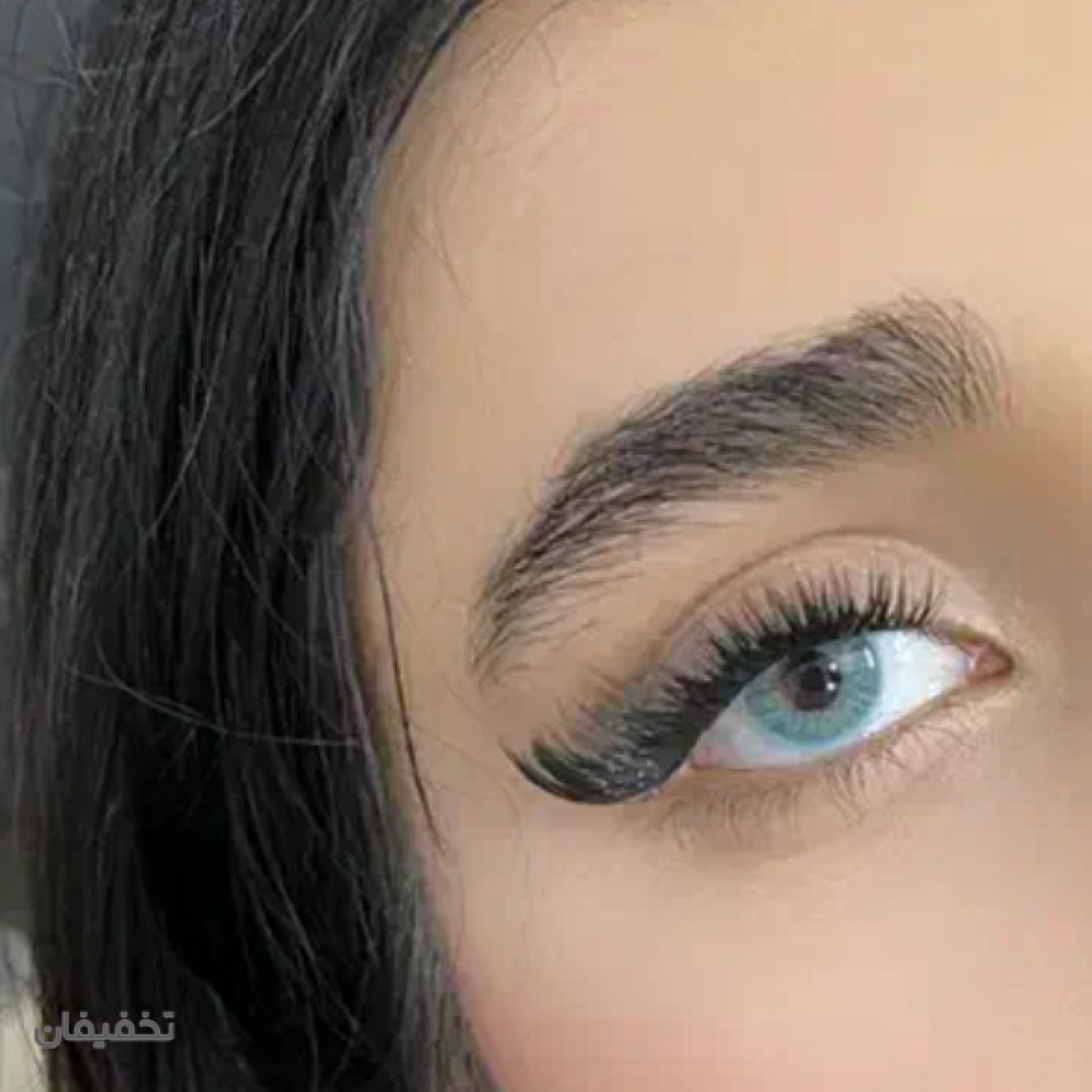 مژه نيلوفر