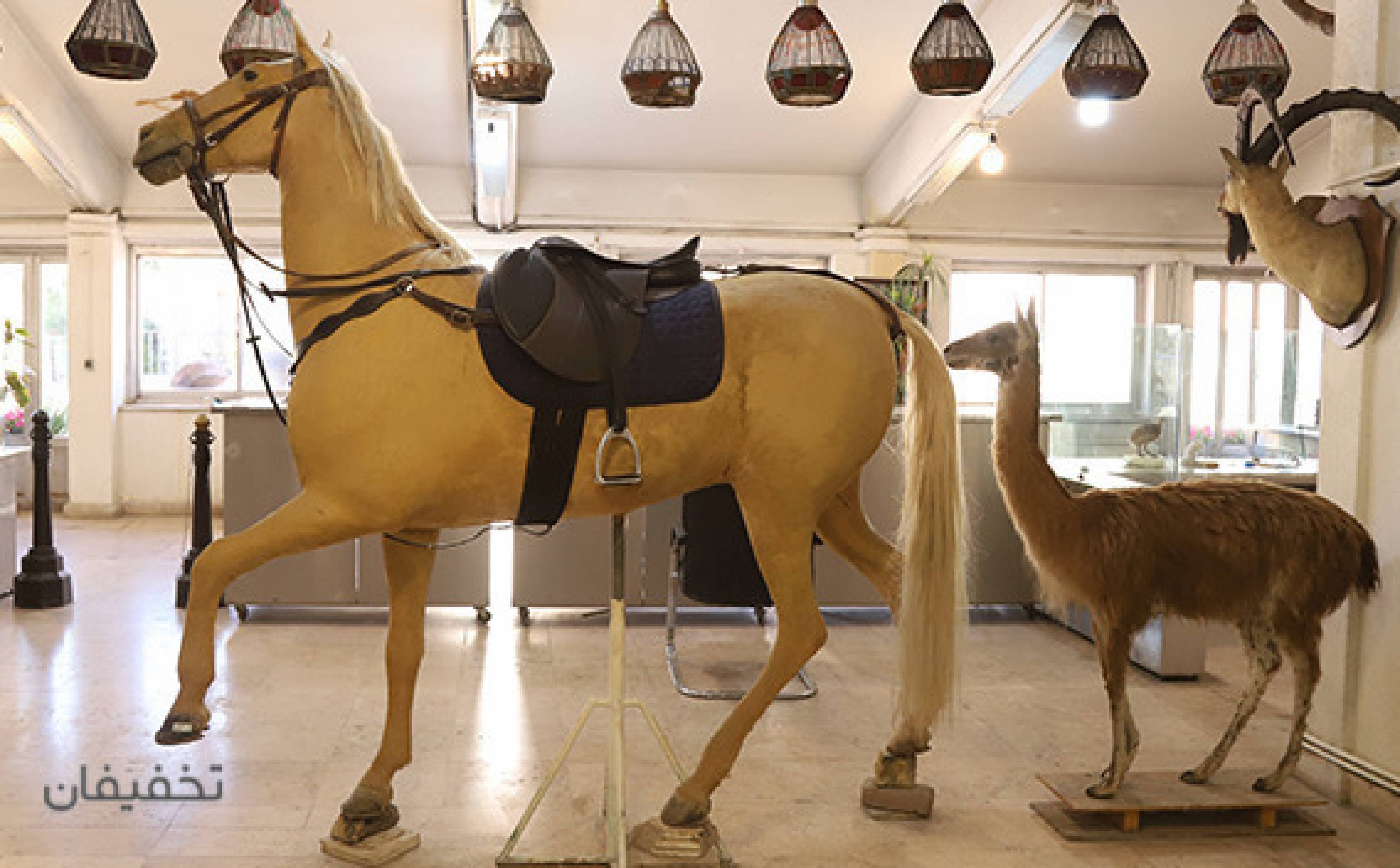 مجموعه موزه ی دارآباد