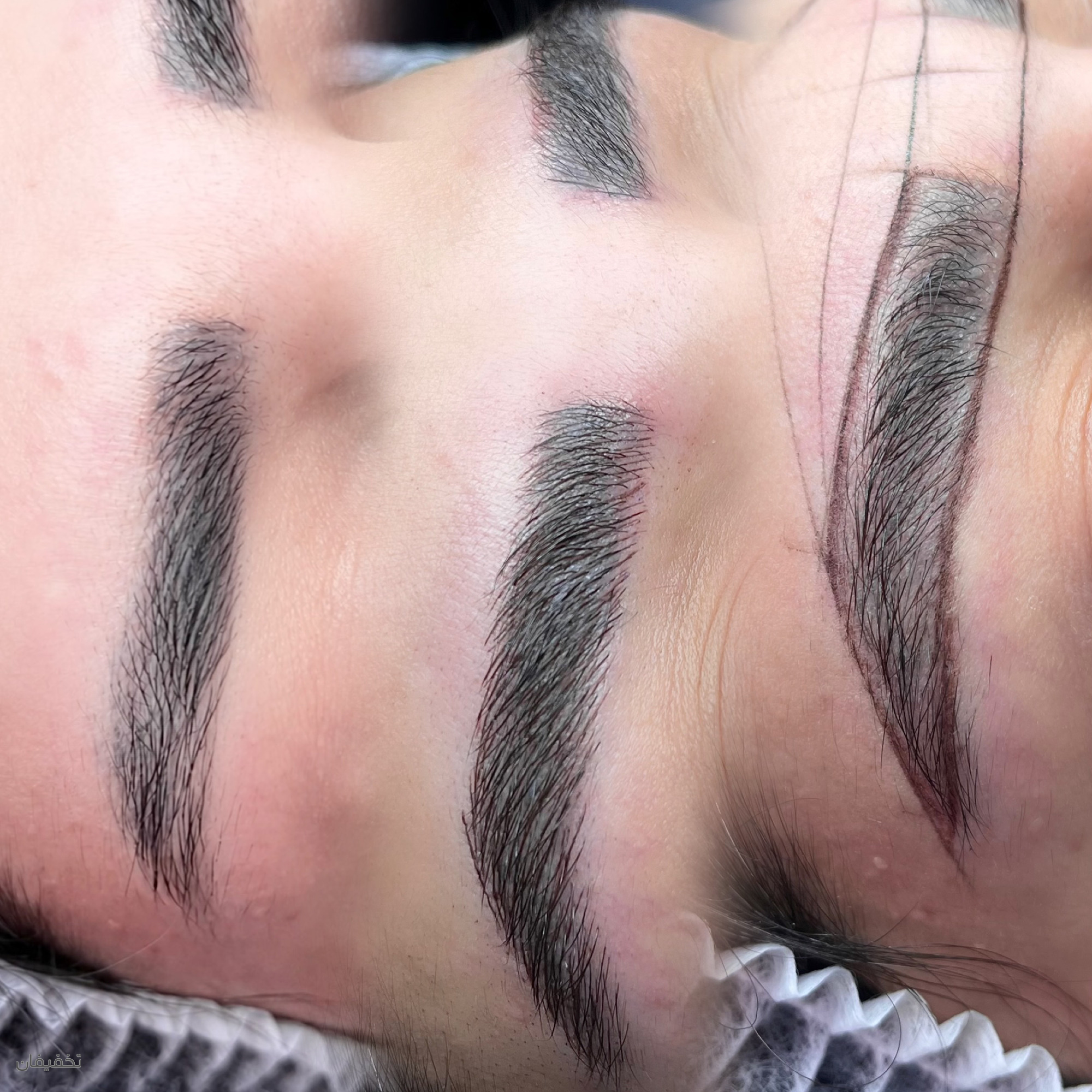 شيما سوری