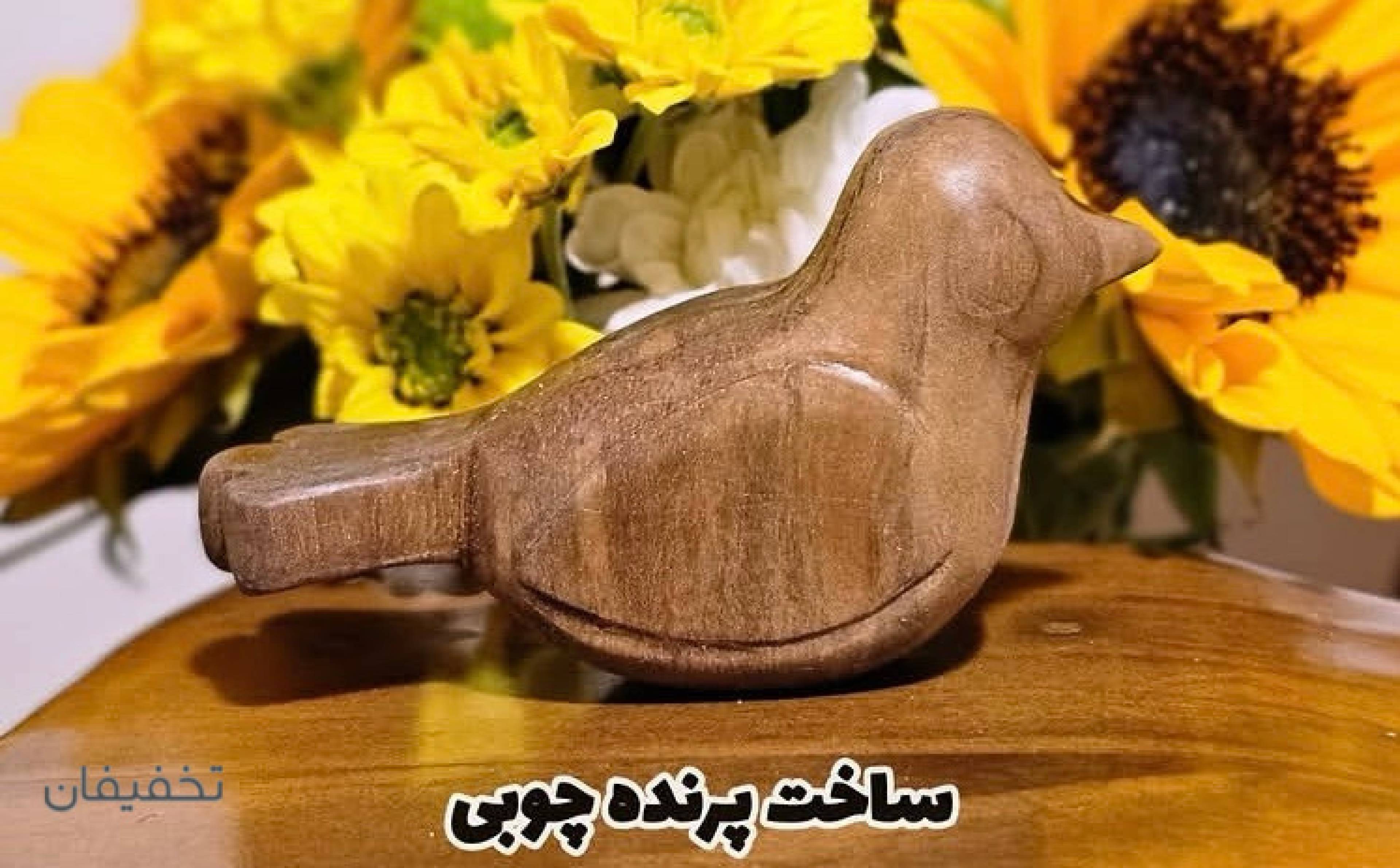 ورکشاپ ماه ماهی