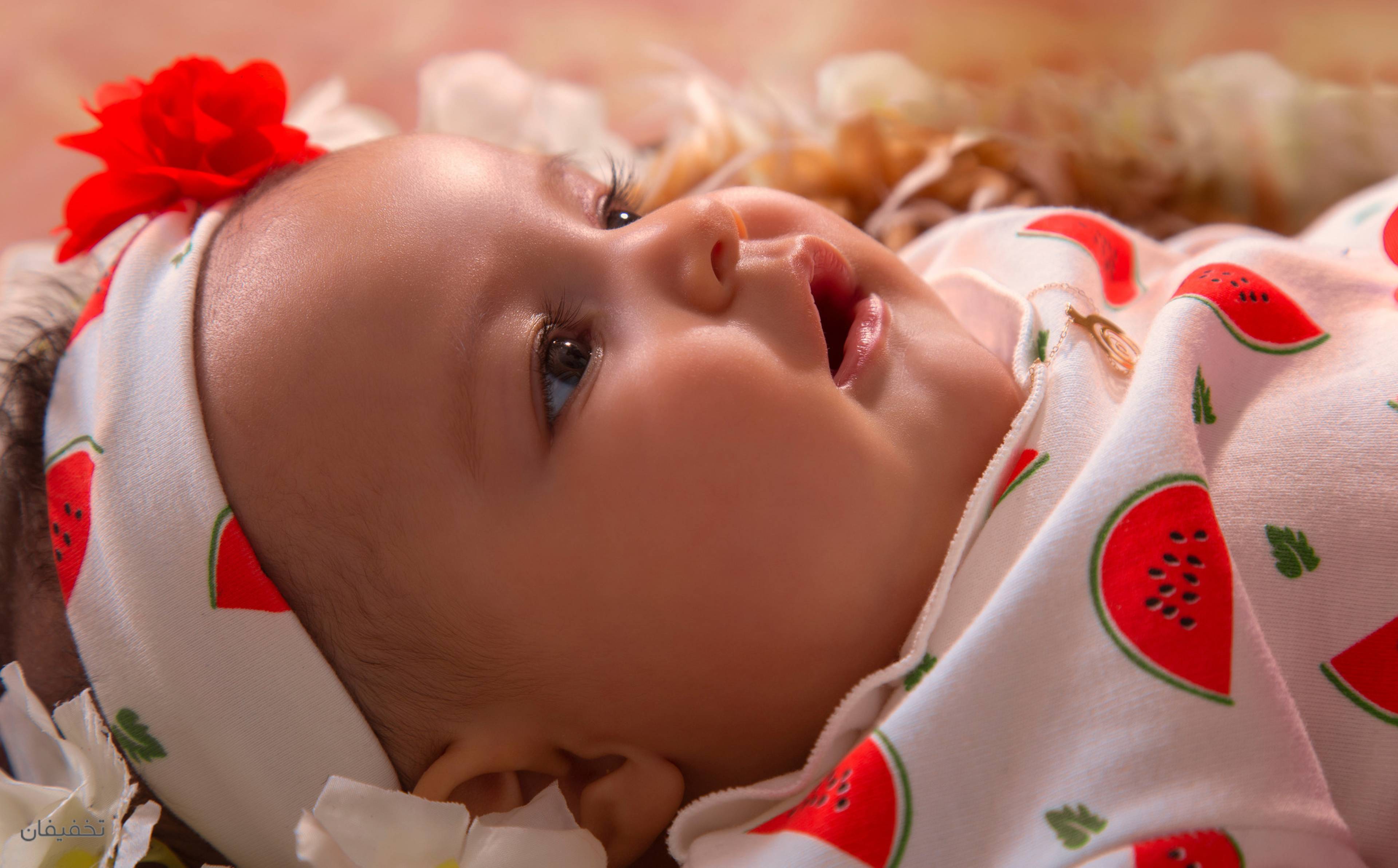 آتلیه کرگدن سفید