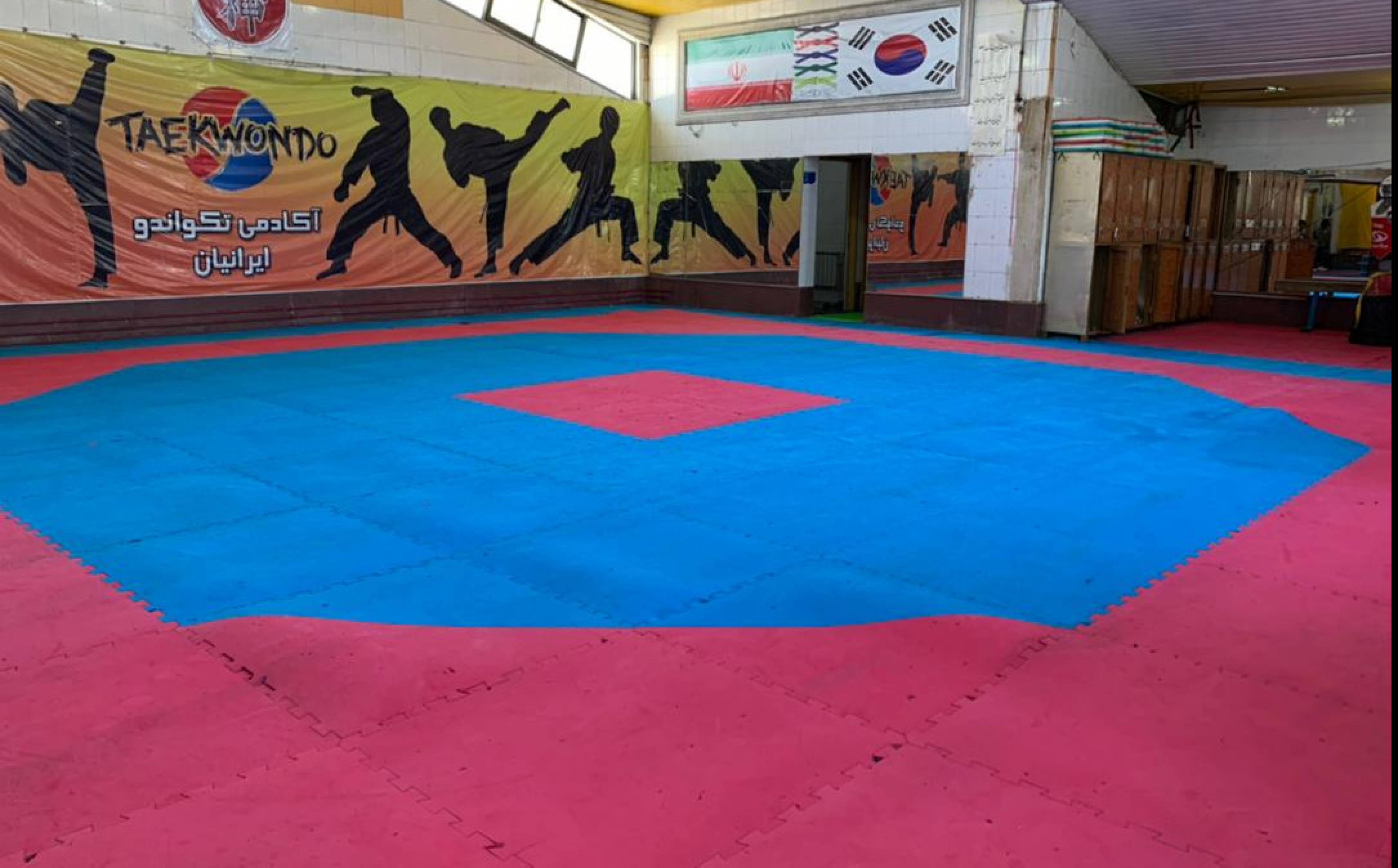 آکادمی تکواندو ایرانیان
