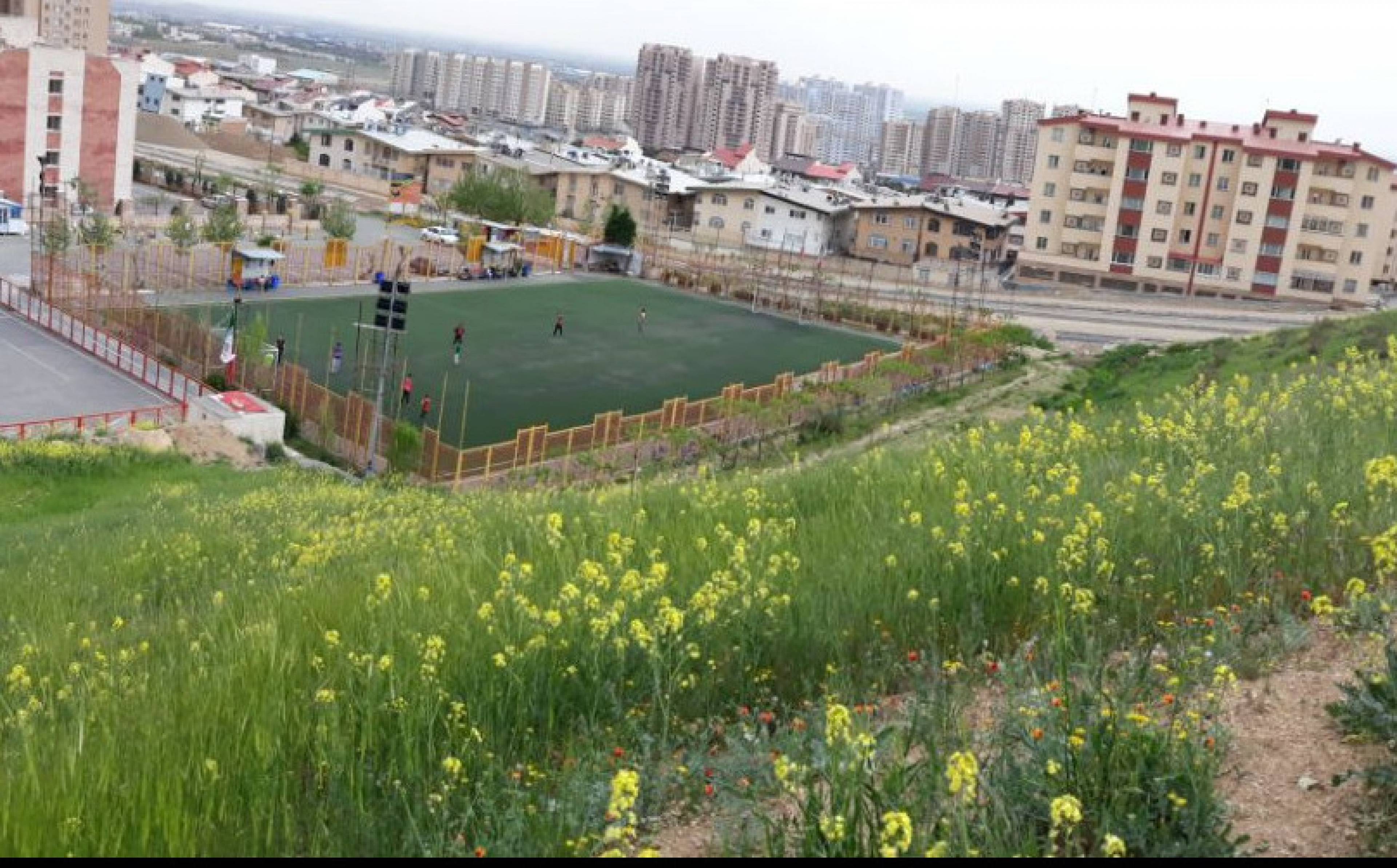 گل یاران