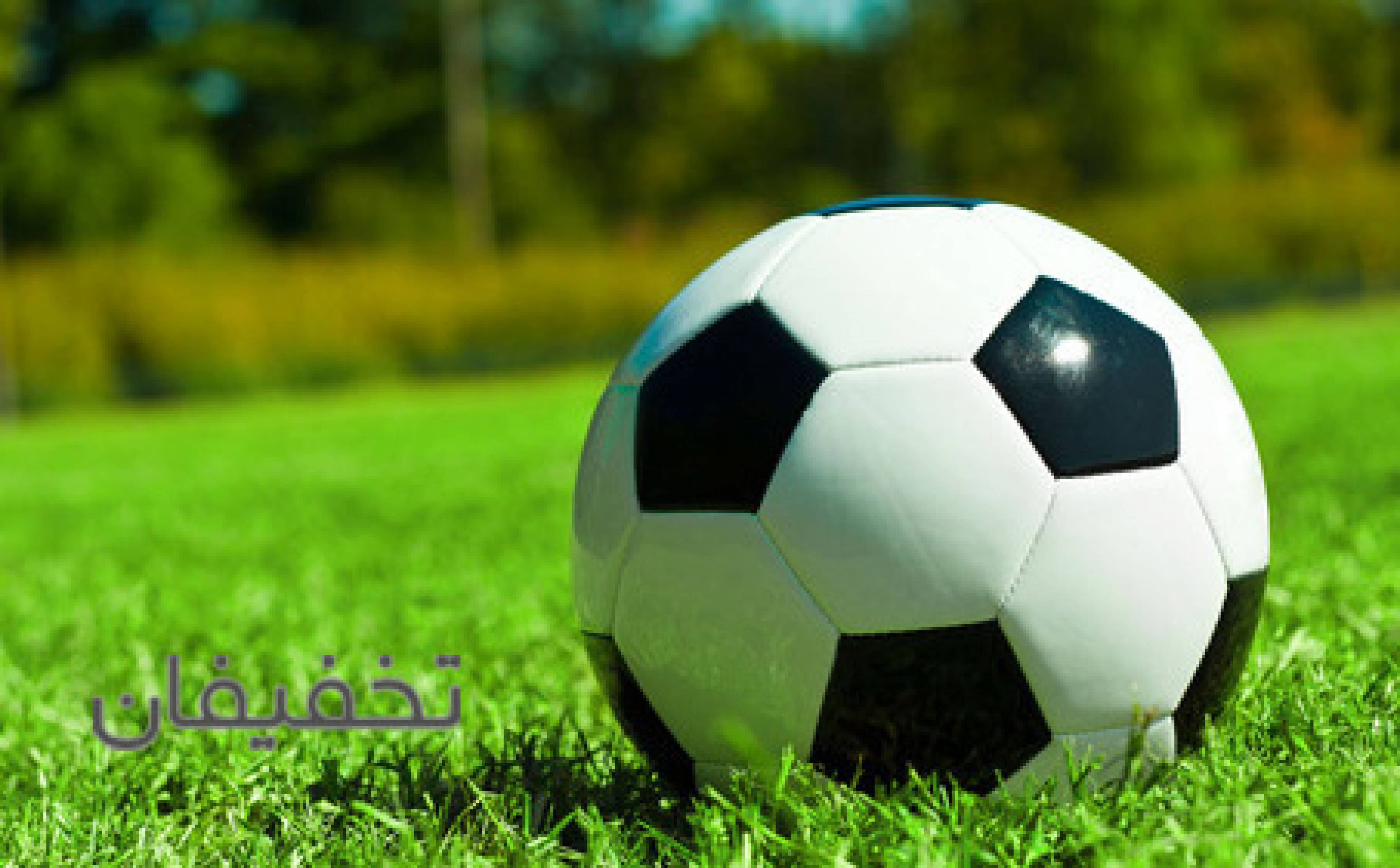 زمین چمن مصنوعی شهید معینی