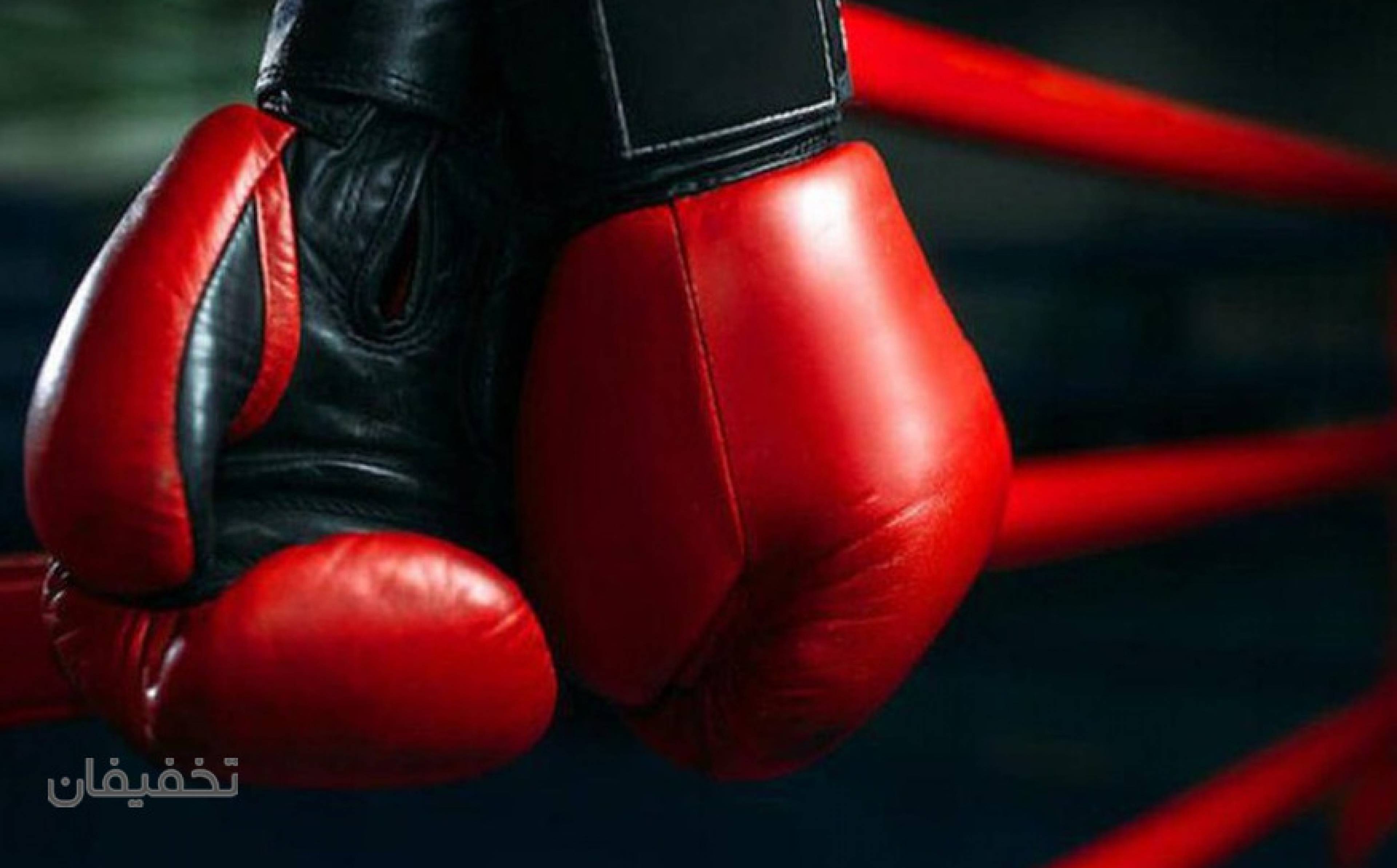 فول کیک بوکسینگ باشگاه شهید عراقی