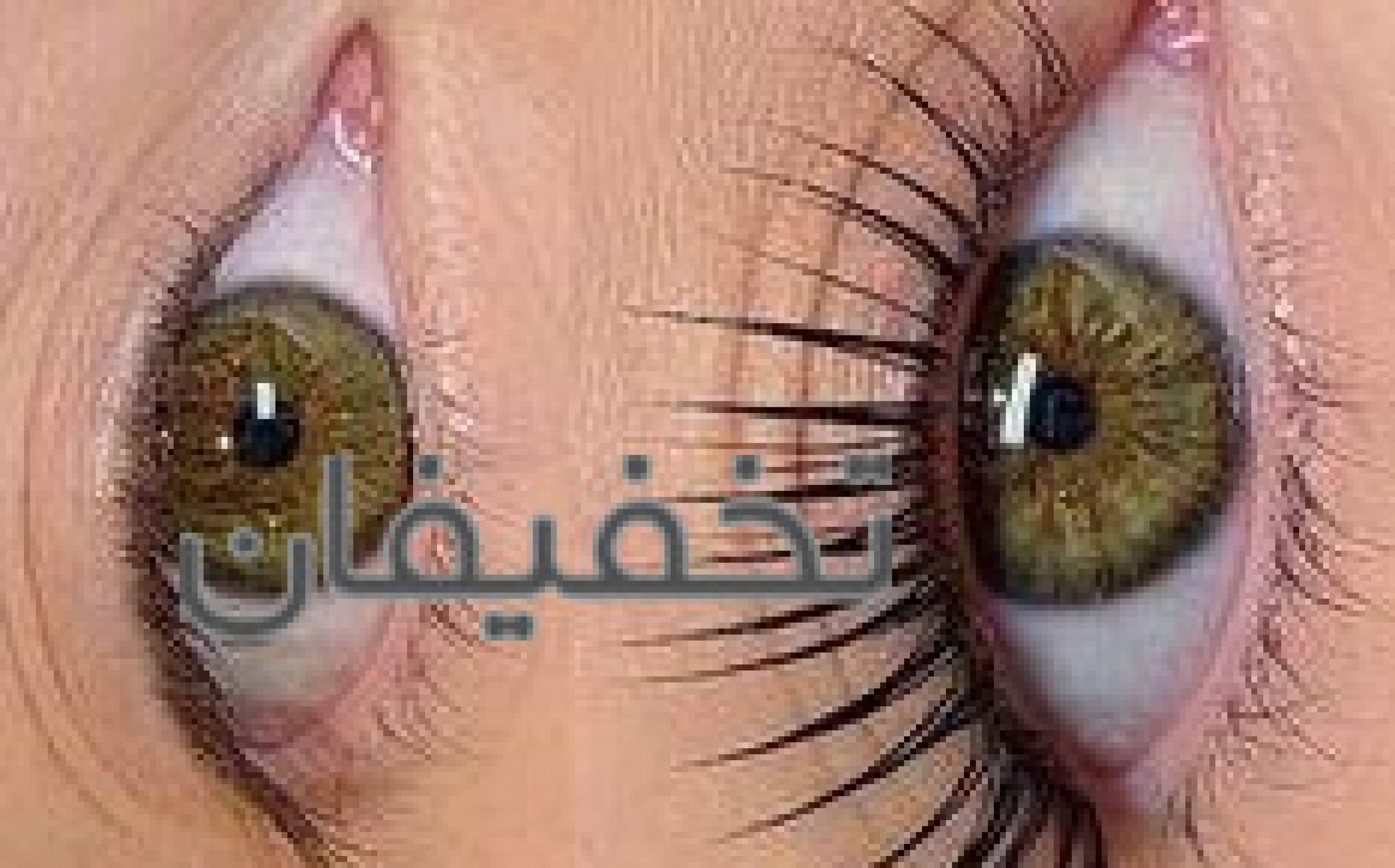 سالن زیبایی رزگلد بیوتی