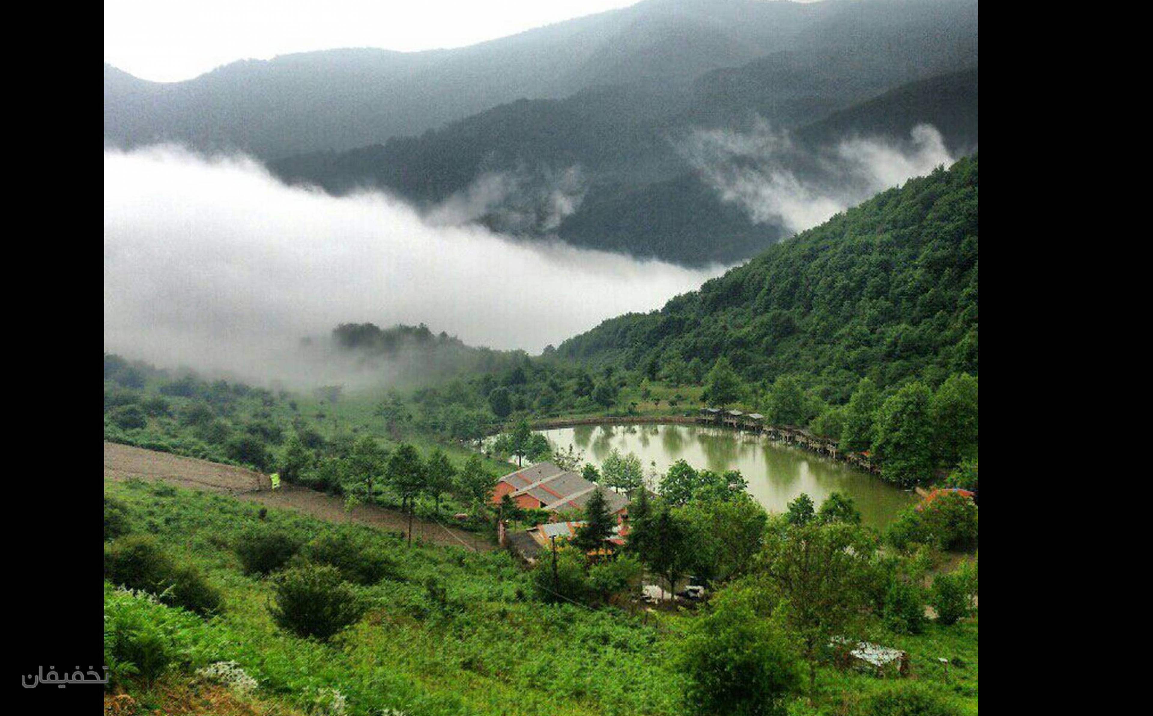 طبیعت گردی پرستو پرواز آسمان
