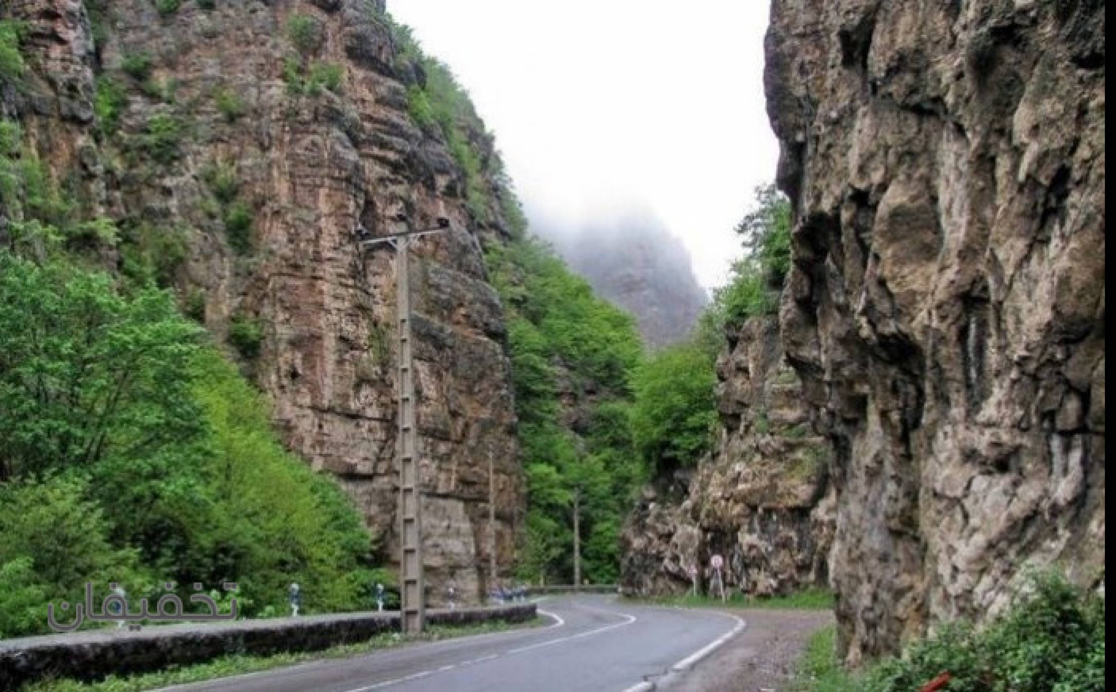 طبیعت گردی پرستو پرواز آسمان