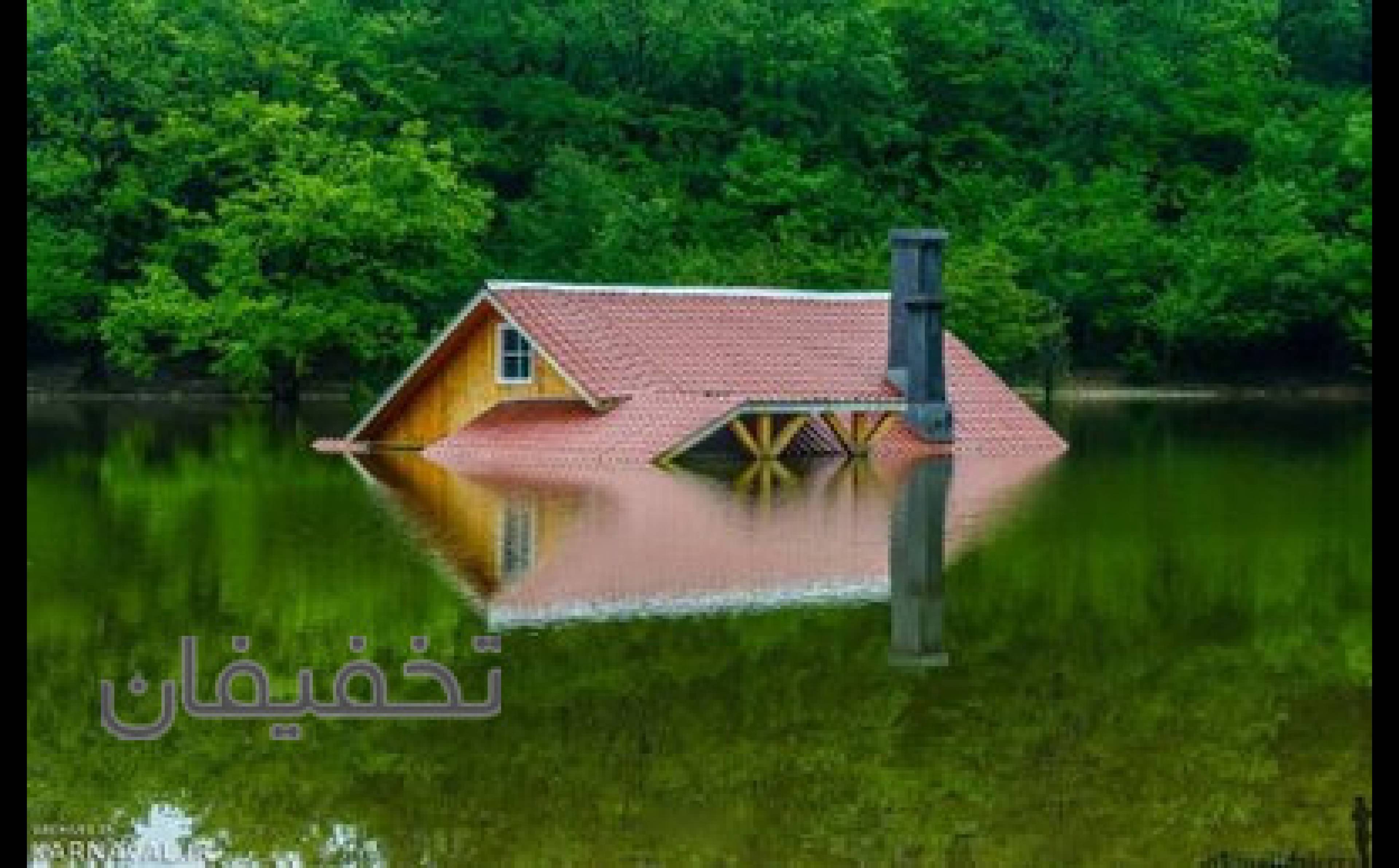 طبیعت گردی پرستو پرواز آسمان