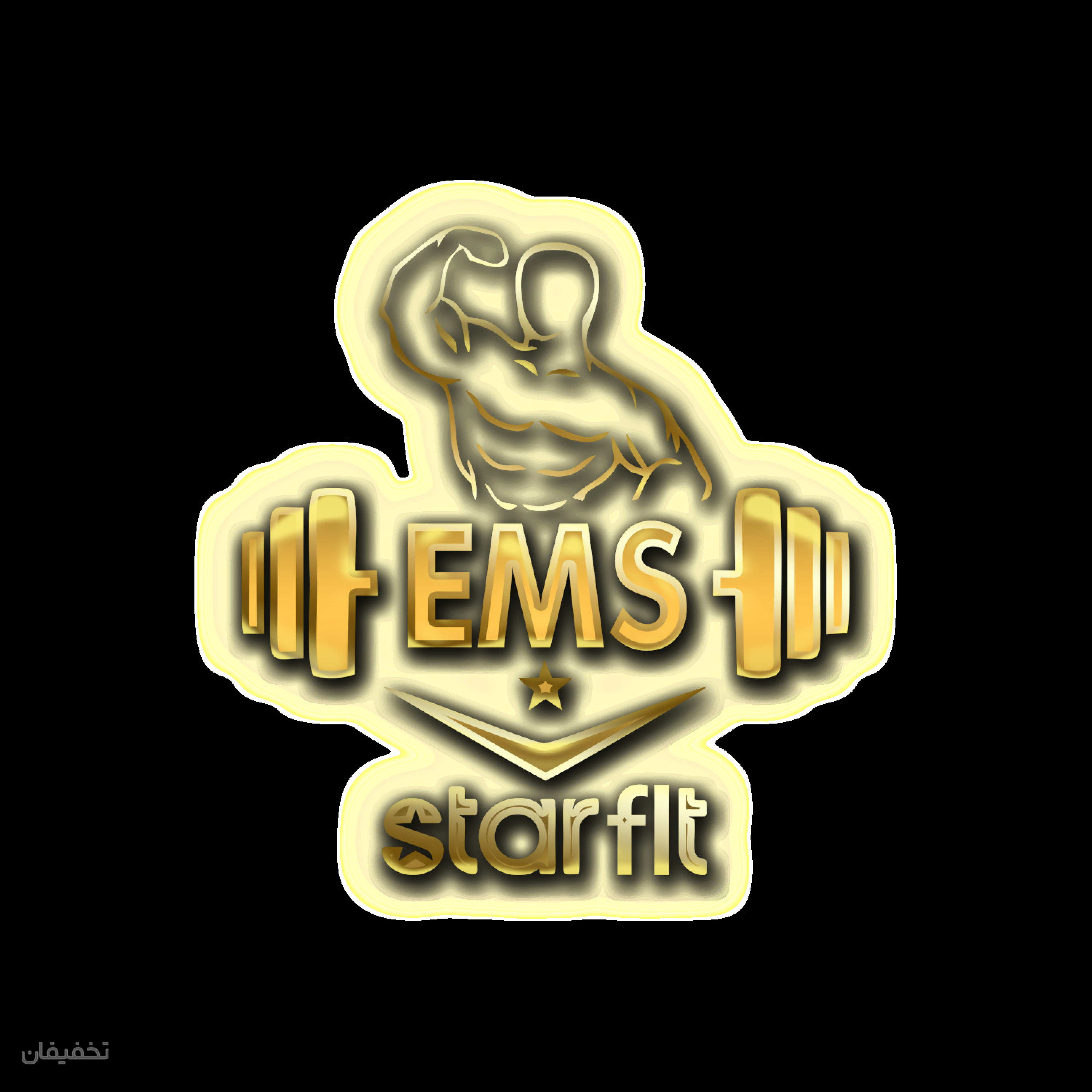ای ام اس EMS مجموعه ورزشی استار فیت