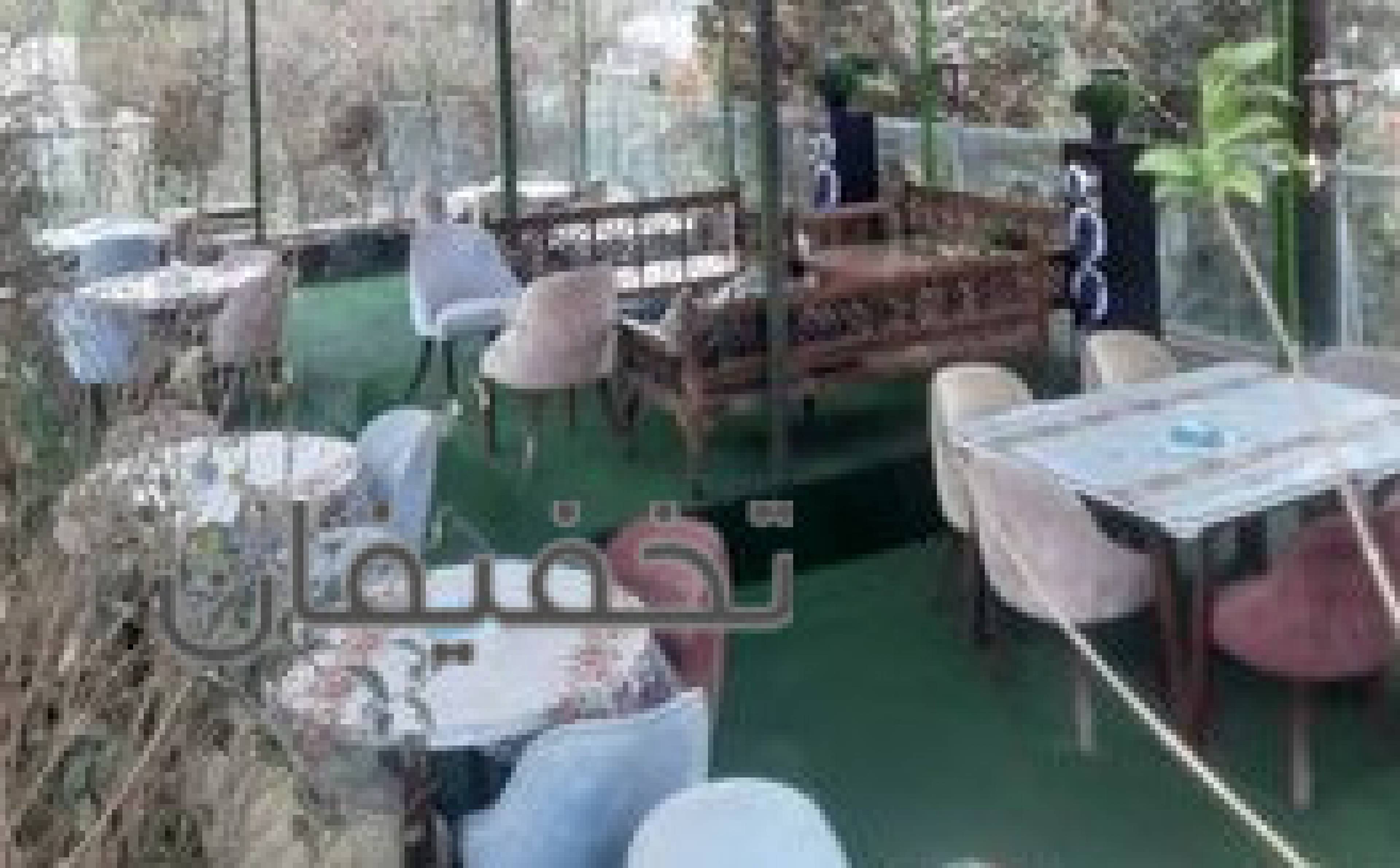 کافه گرین لند