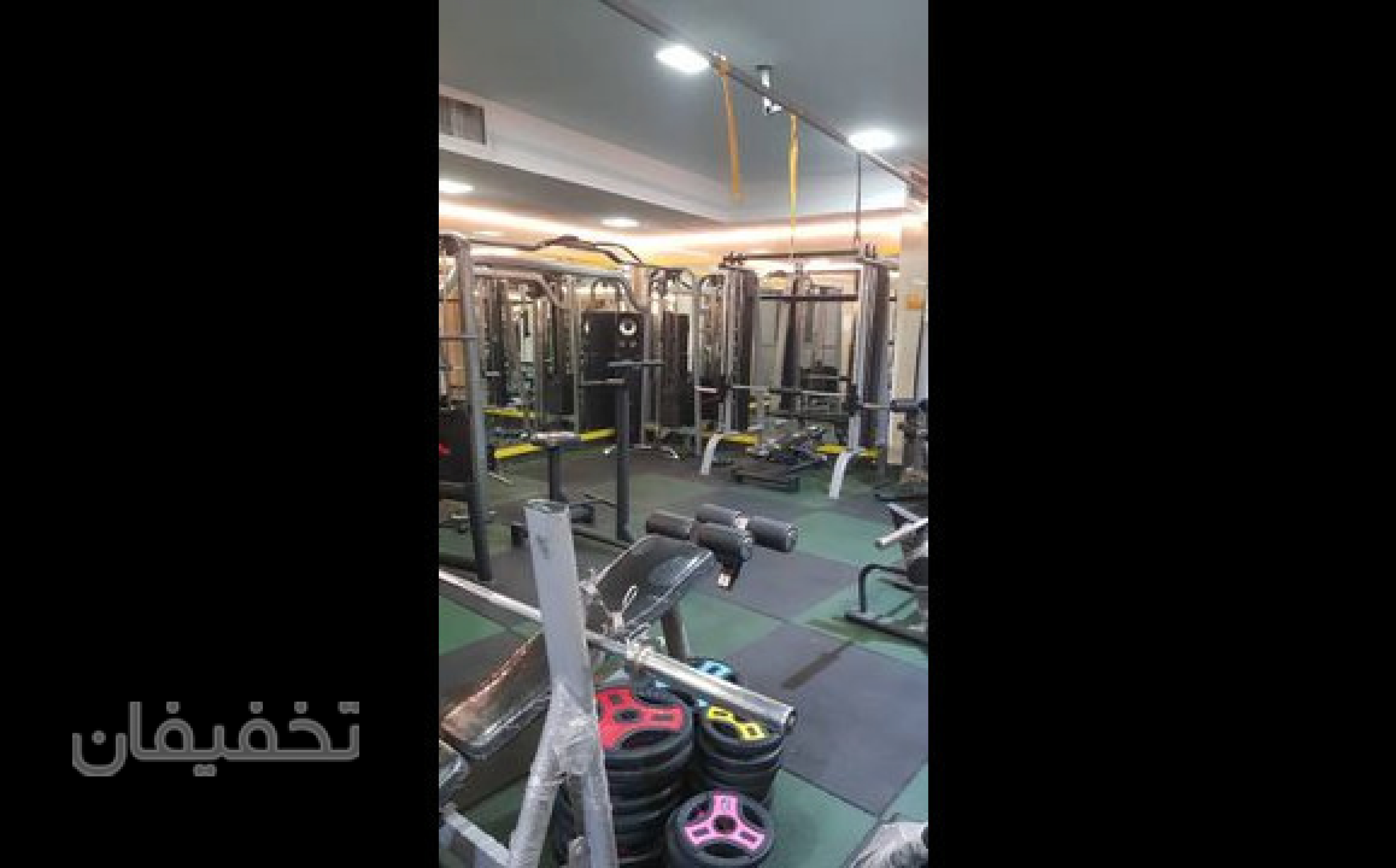 باشگاه بدنسازی شاهین