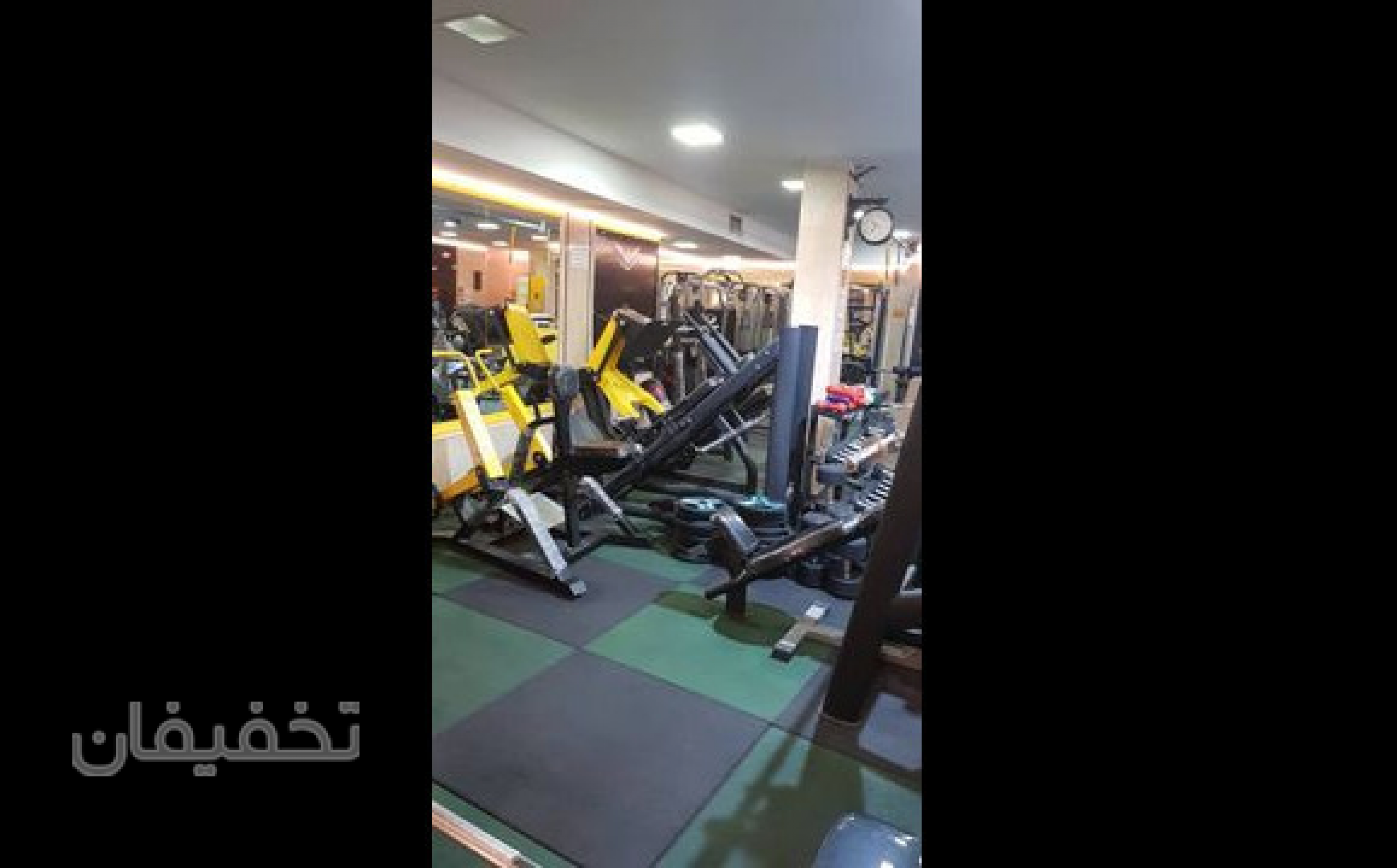 باشگاه بدنسازی شاهین