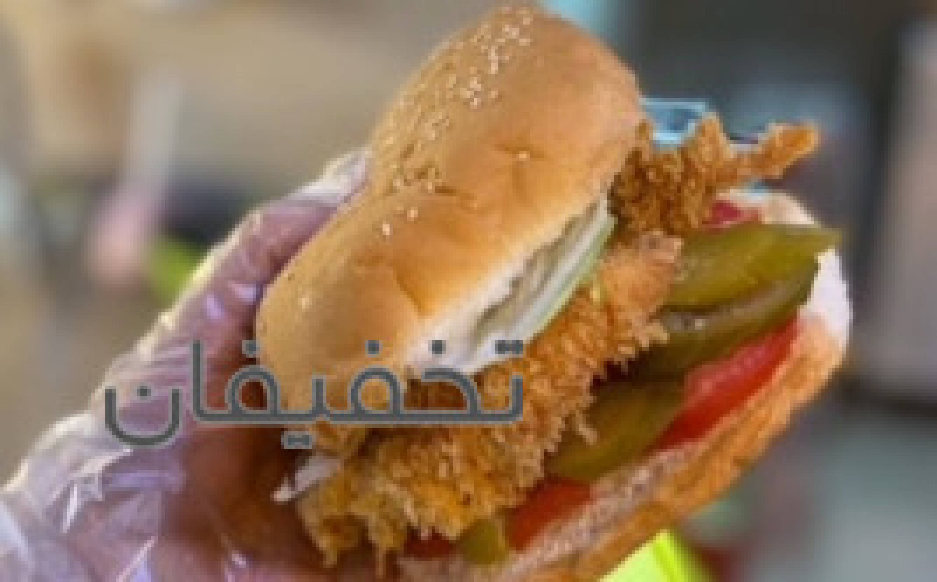 راه اندازی و آموزش فست فود ژیوار