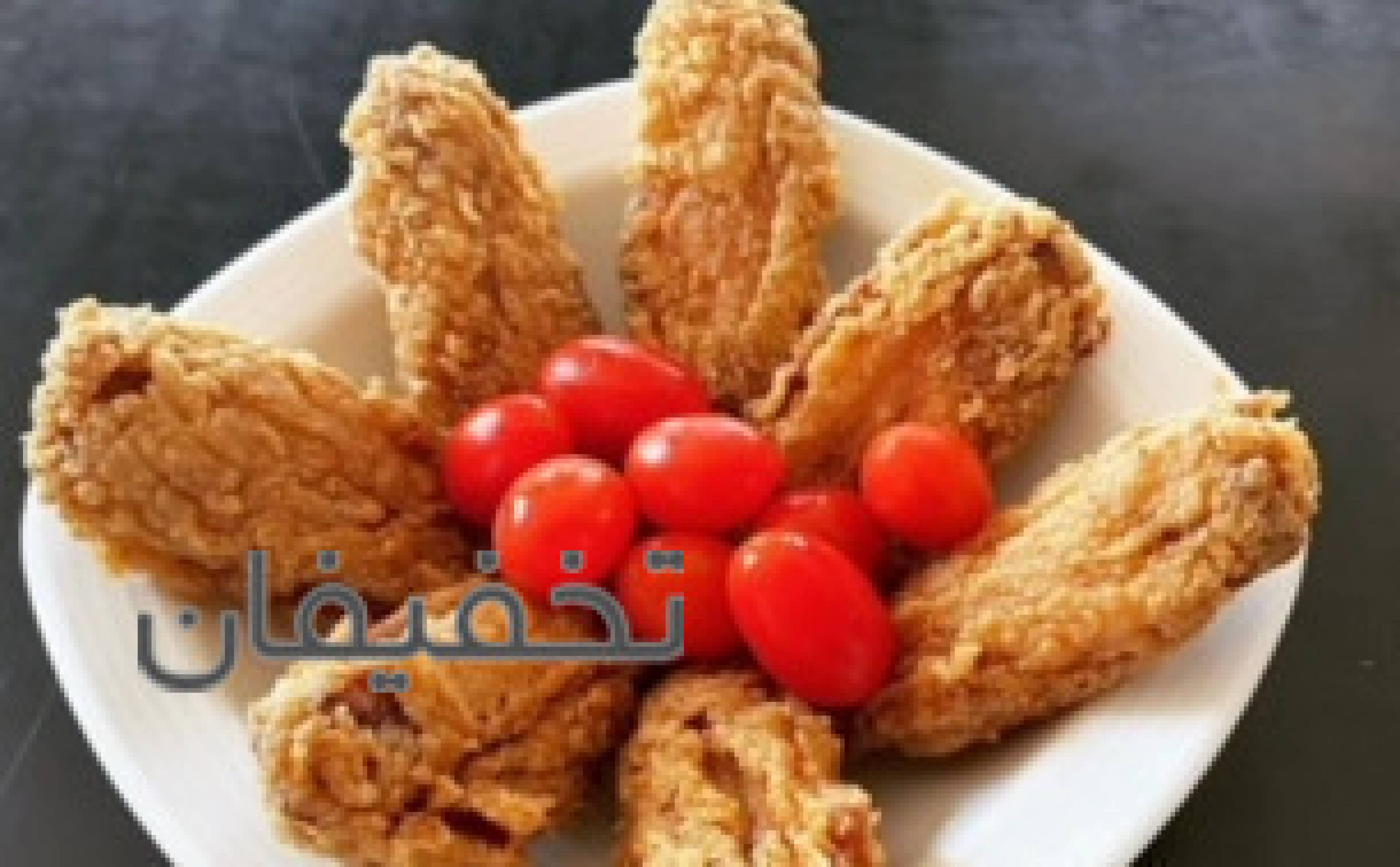 راه اندازی و آموزش فست فود ژیوار