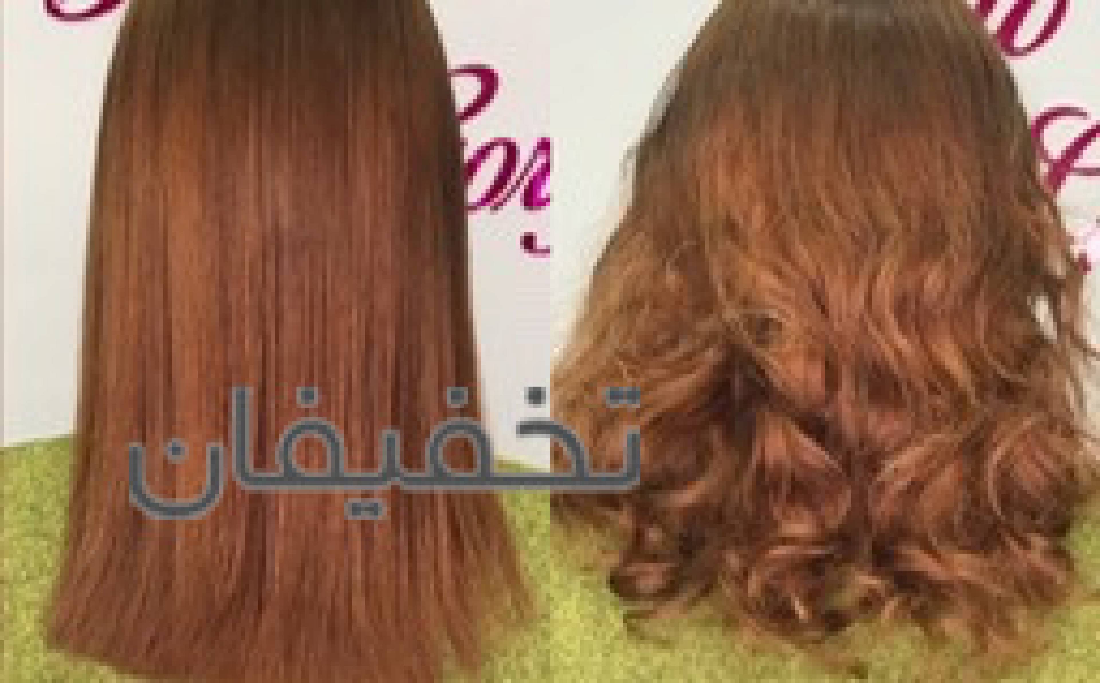 كراتين آتنا تيموري