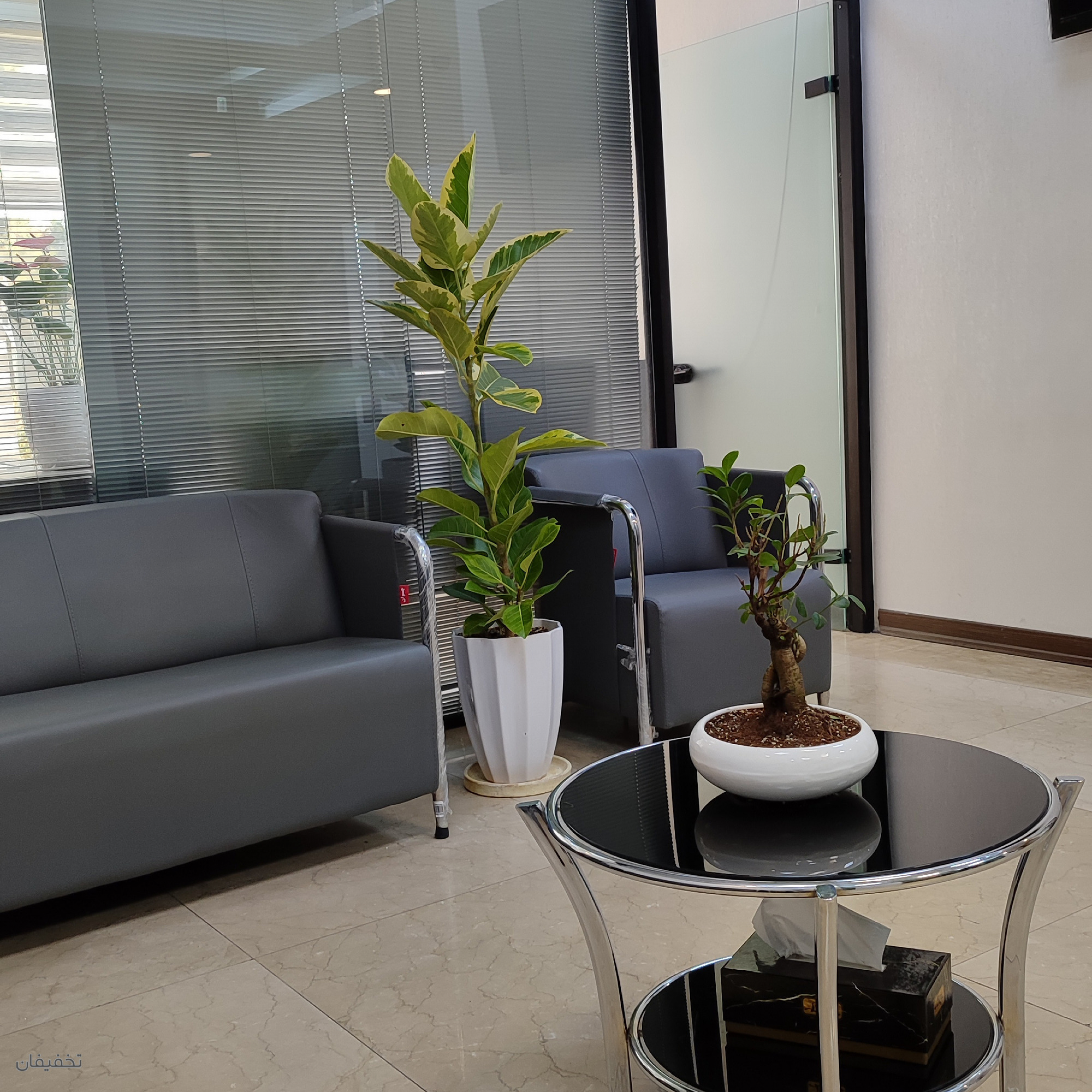 مرکز فیشال و پاکسازی پوست waterlily