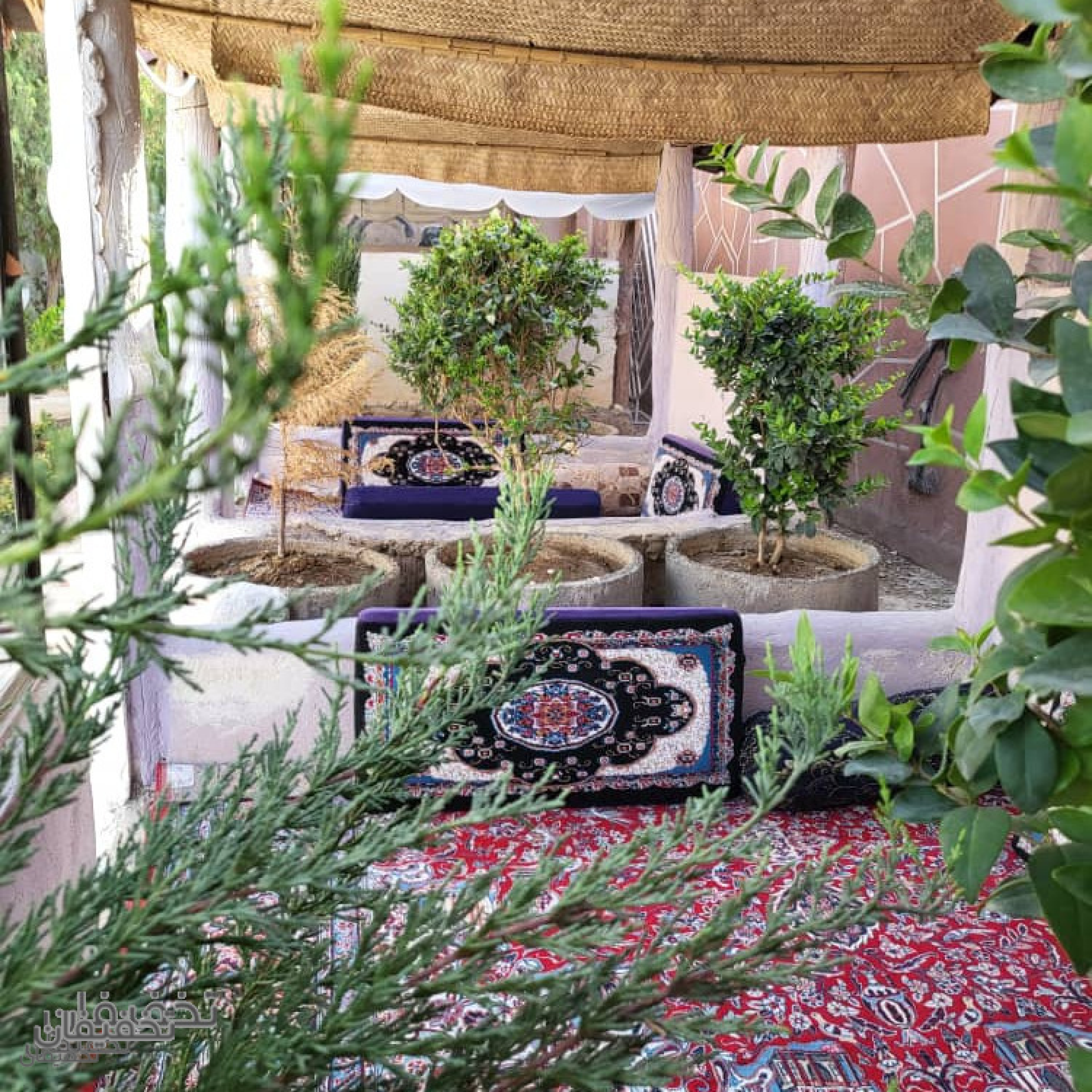 کافه رستوران زیتون